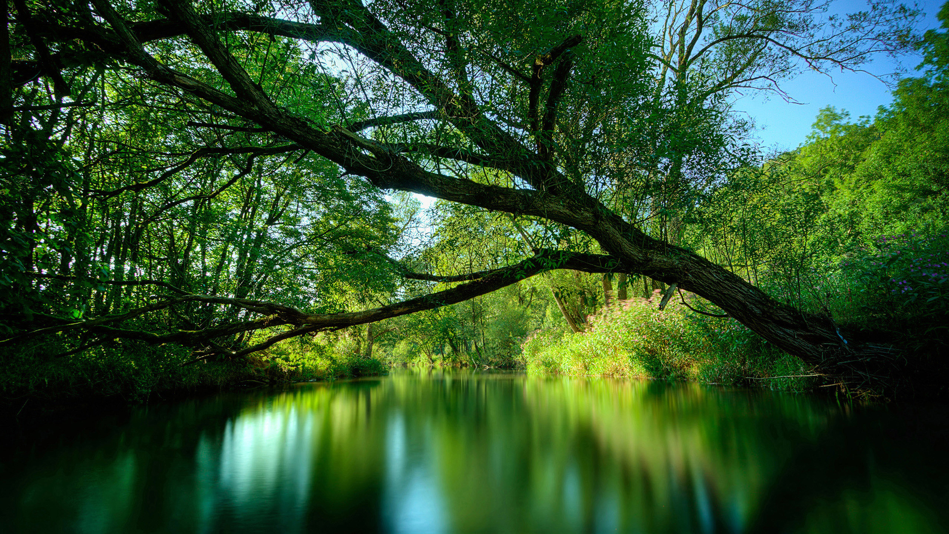 Laden Sie das Wasser, Bäume, Landschaft-Bild kostenlos auf Ihren PC-Desktop herunter