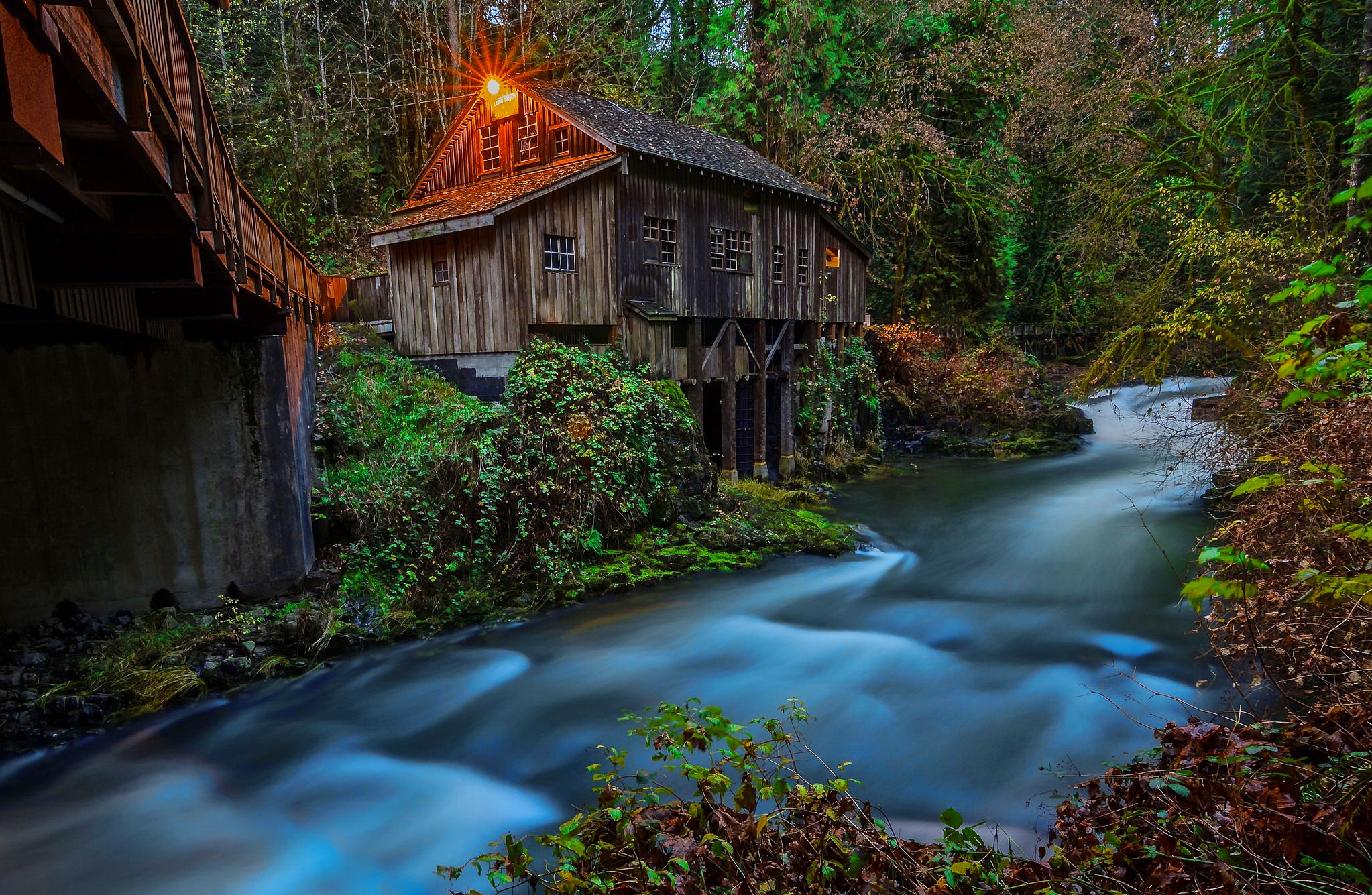 man made, watermill, forest, mill, river, tree