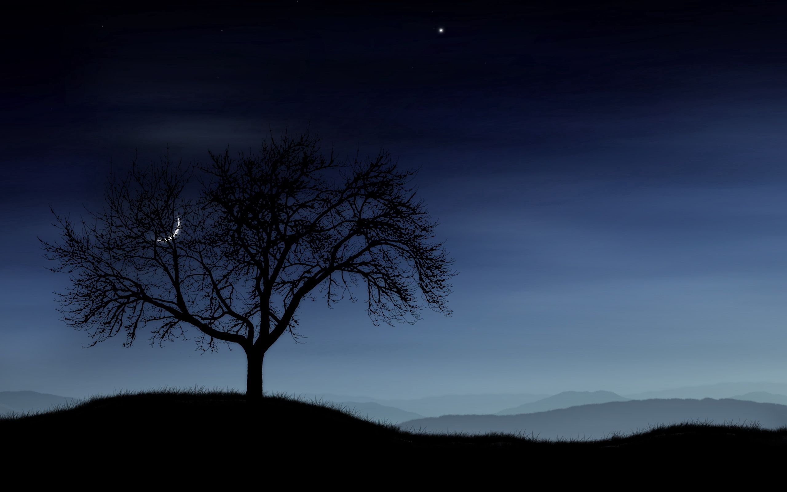 Скачать обои бесплатно Одинокое, Дерево, Туман, Силуэт, Звезды, Ночь, Темные, Луна картинка на рабочий стол ПК