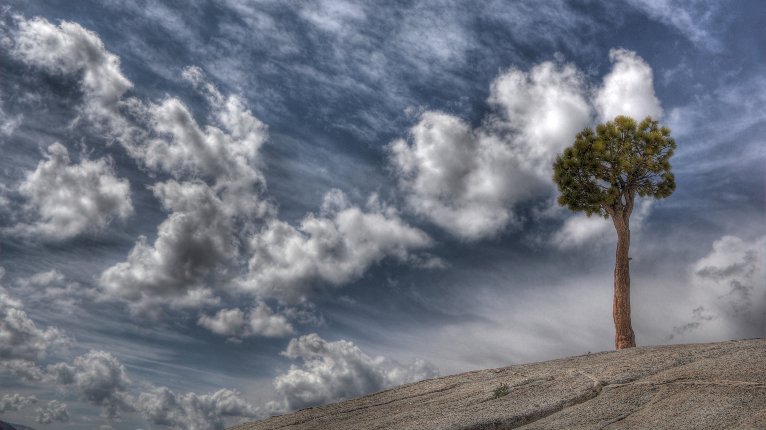 Téléchargez gratuitement l'image Arbre, Des Arbres, Terre/nature sur le bureau de votre PC