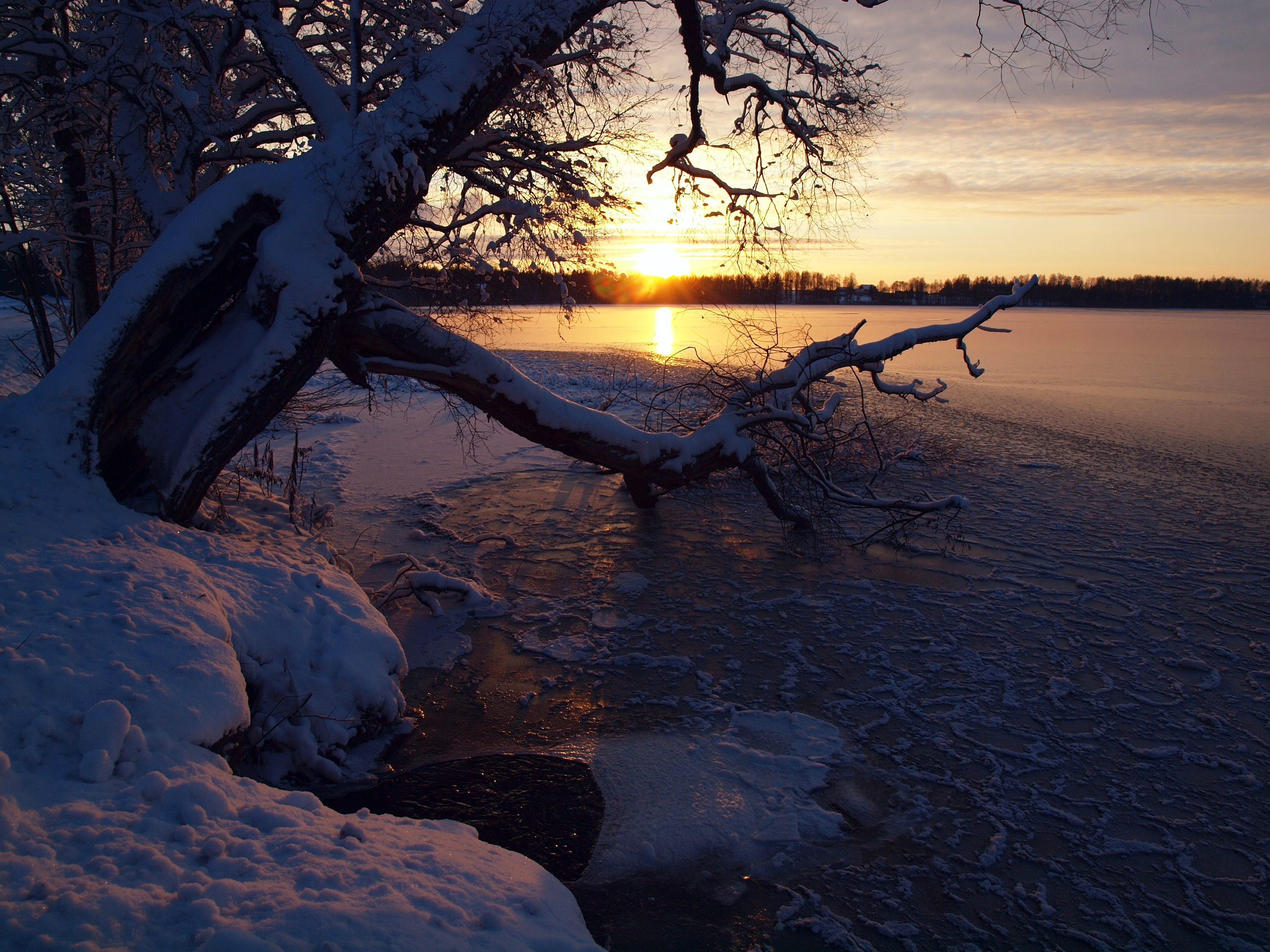 Téléchargez gratuitement l'image Terre/nature, Lever De Soleil sur le bureau de votre PC