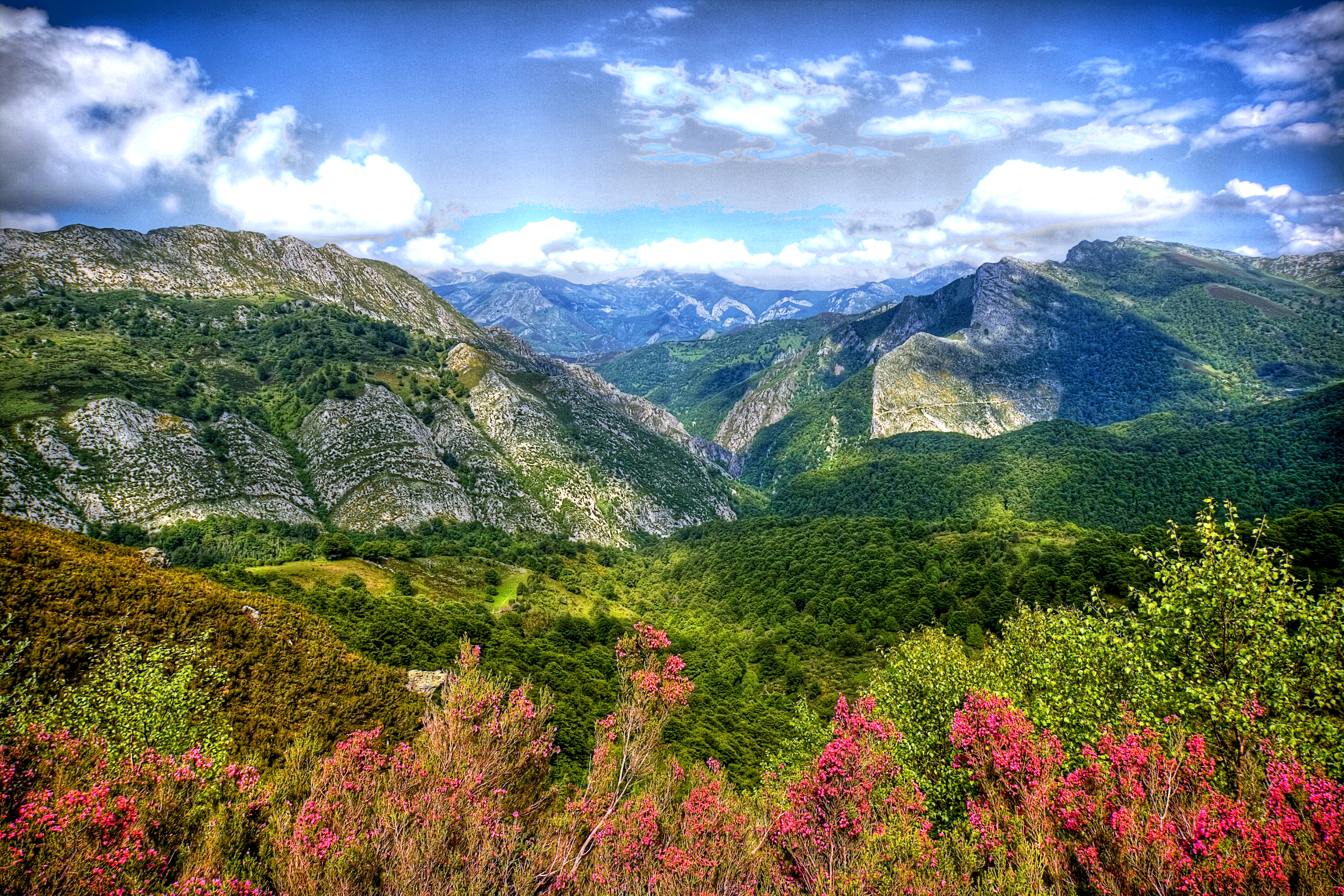 Baixar papel de parede para celular de Paisagem, Montanha, Floresta, Árvore, Nuvem, Terra/natureza gratuito.