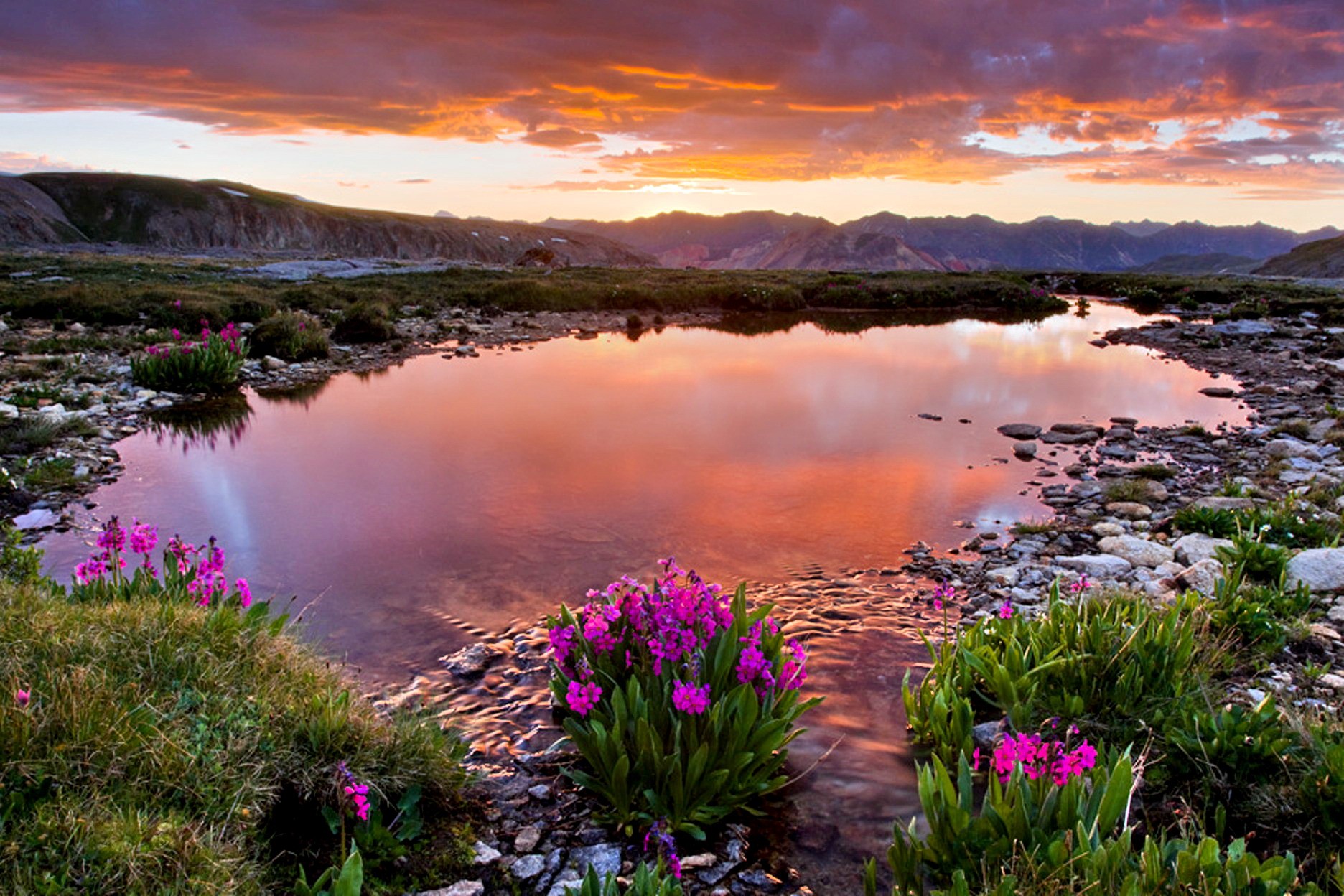 380412 завантажити картинку весна, земля, озеро, квітка, гора, захід сонця, польова квітка, озера - шпалери і заставки безкоштовно