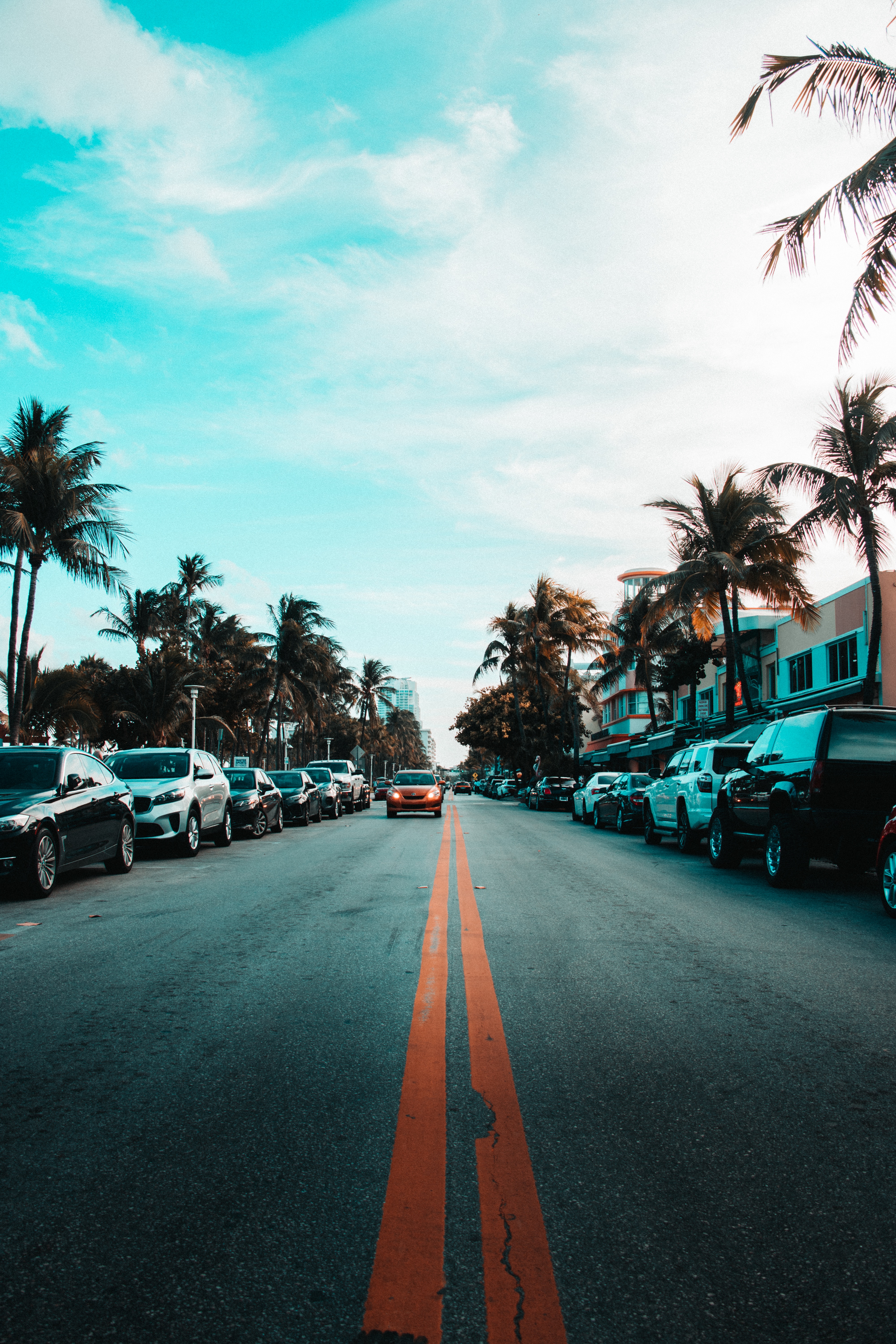 Free download wallpaper Sky, Markup, Road, Cities, Palms, Cars on your PC desktop