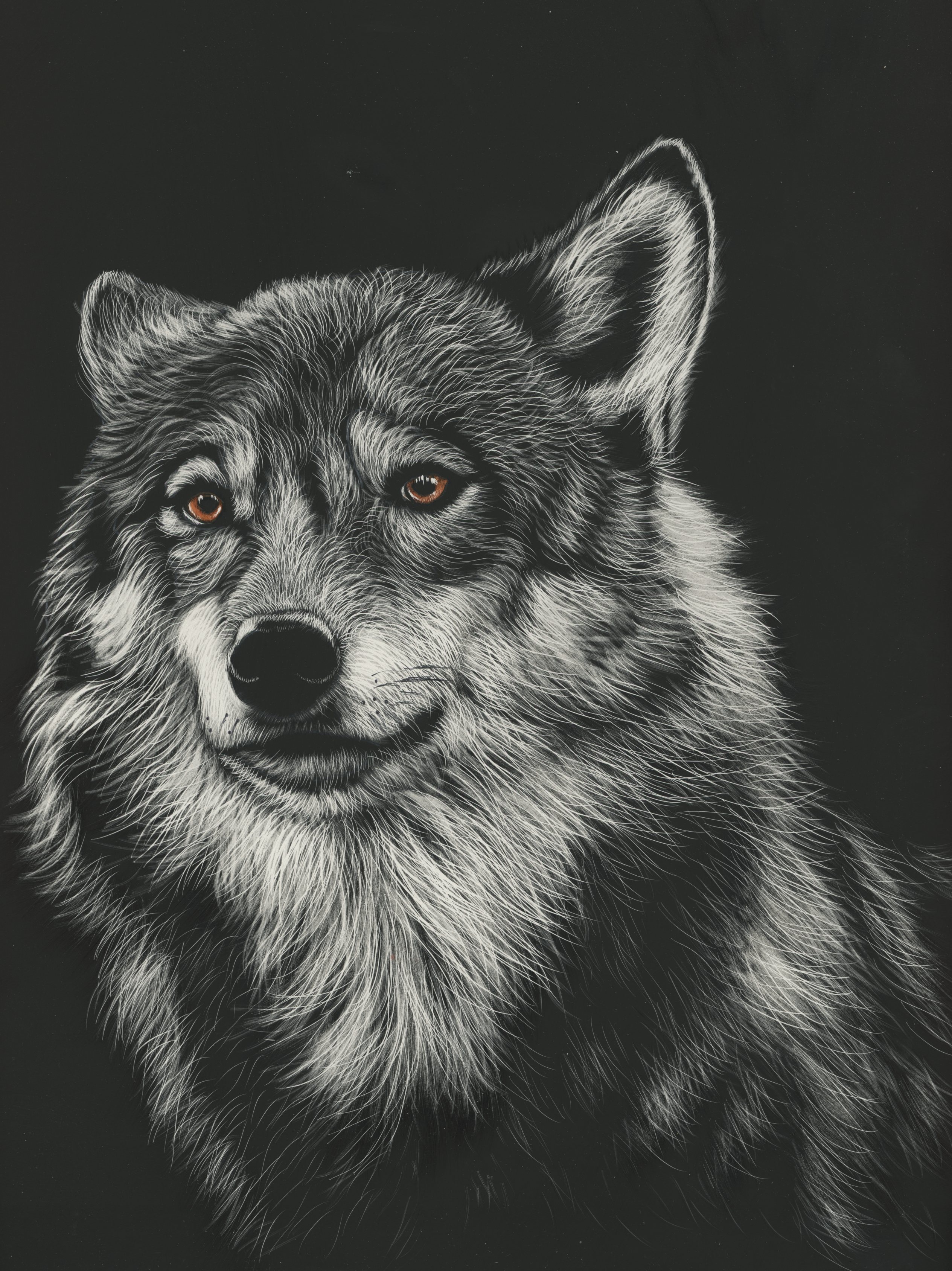 wolf, art, picture, head, drawing, predator UHD