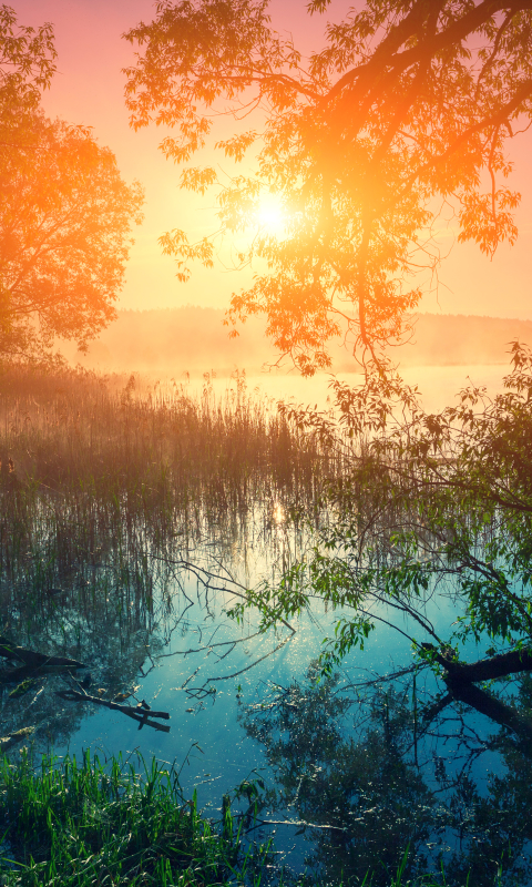 Handy-Wallpaper Natur, Sonnenaufgang, Erde/natur, Spiegelung, Betrachtung kostenlos herunterladen.