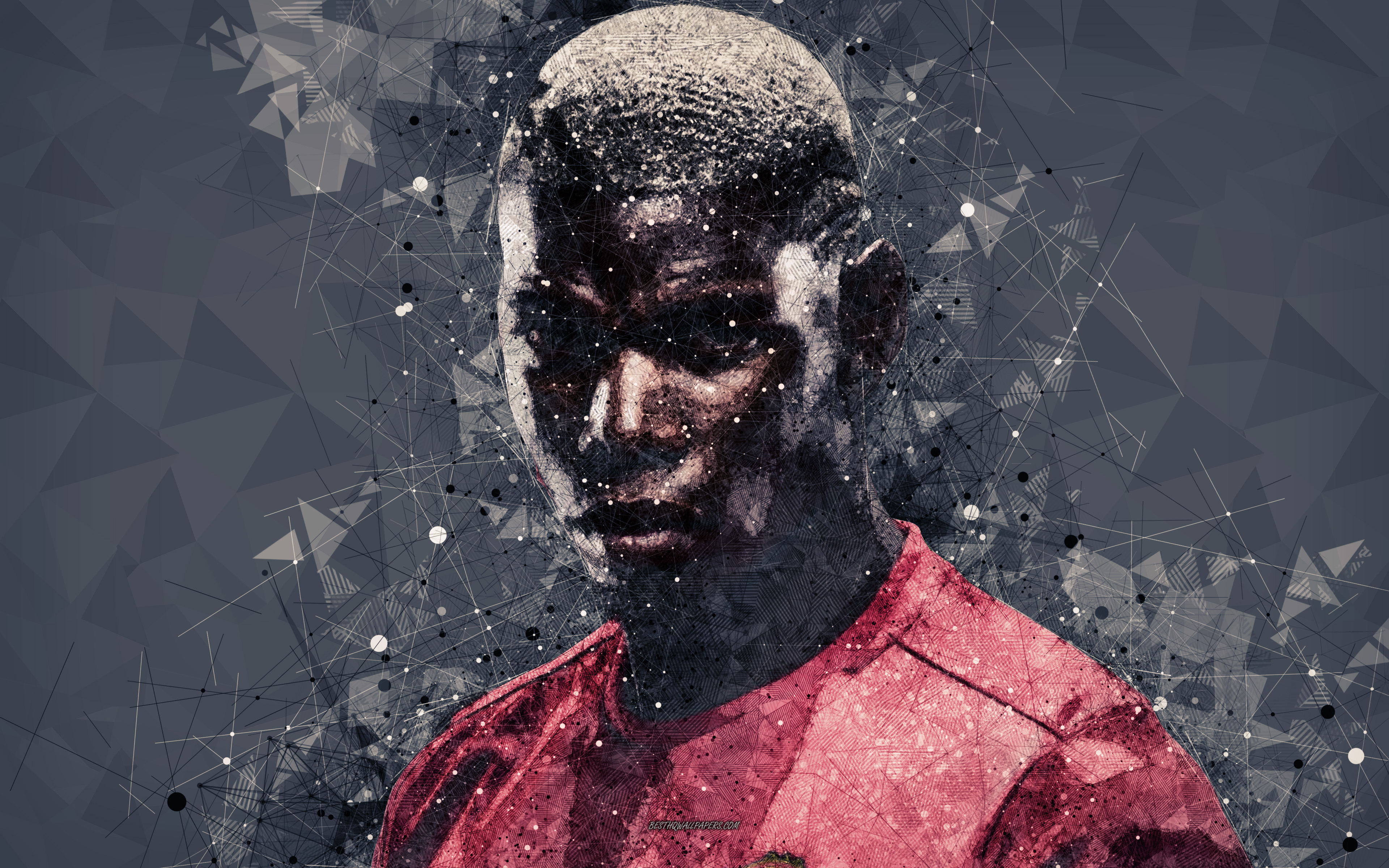sports, paul pogba, french, manchester united f c, soccer