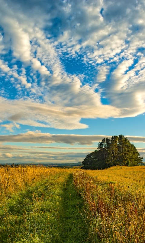 Download mobile wallpaper Landscape, Nature, Grass, Sky, Horizon, Earth, Field, Cloud for free.