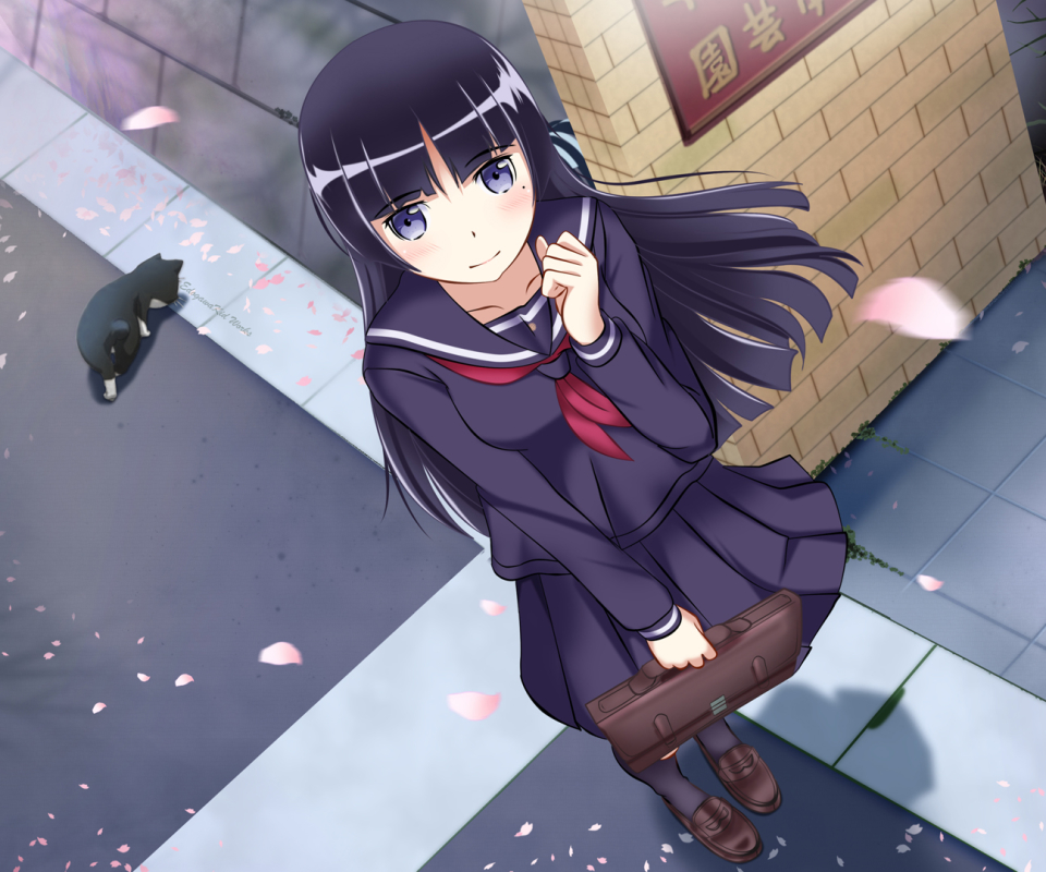 Baixar papel de parede para celular de Anime, Ruri Goko, Oreimo gratuito.