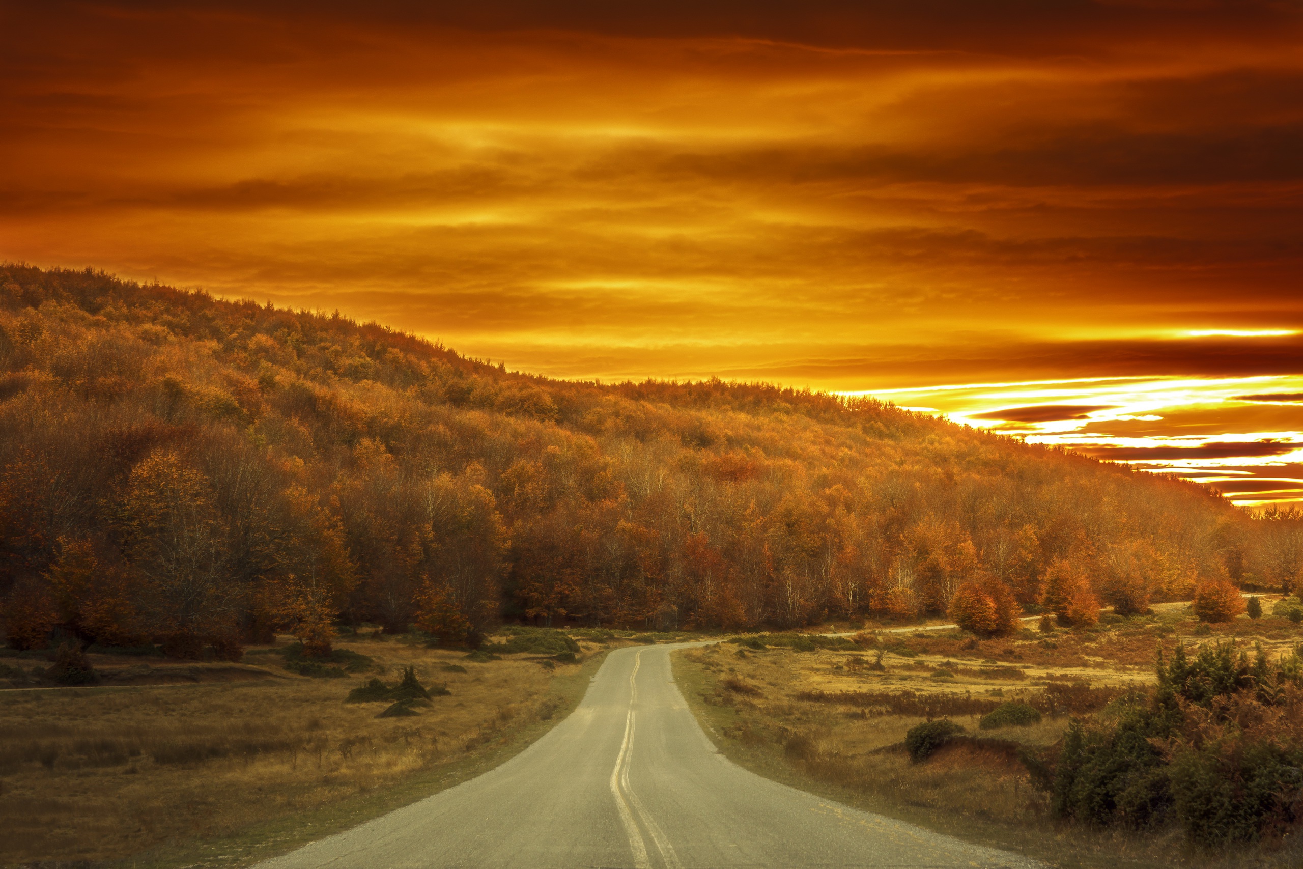 Download mobile wallpaper Nature, Road, Forest, Fall, Man Made for free.