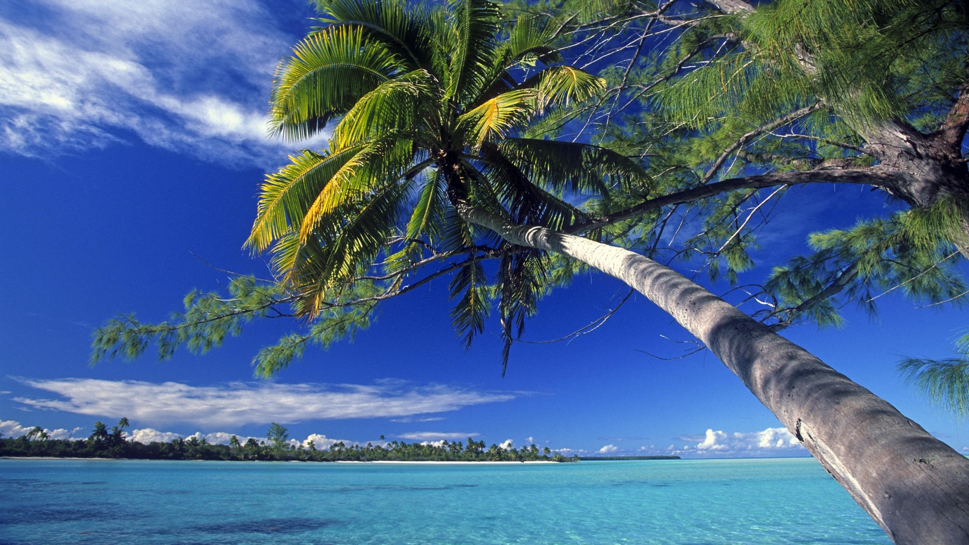 Download mobile wallpaper Landscape, Palms, Sea for free.