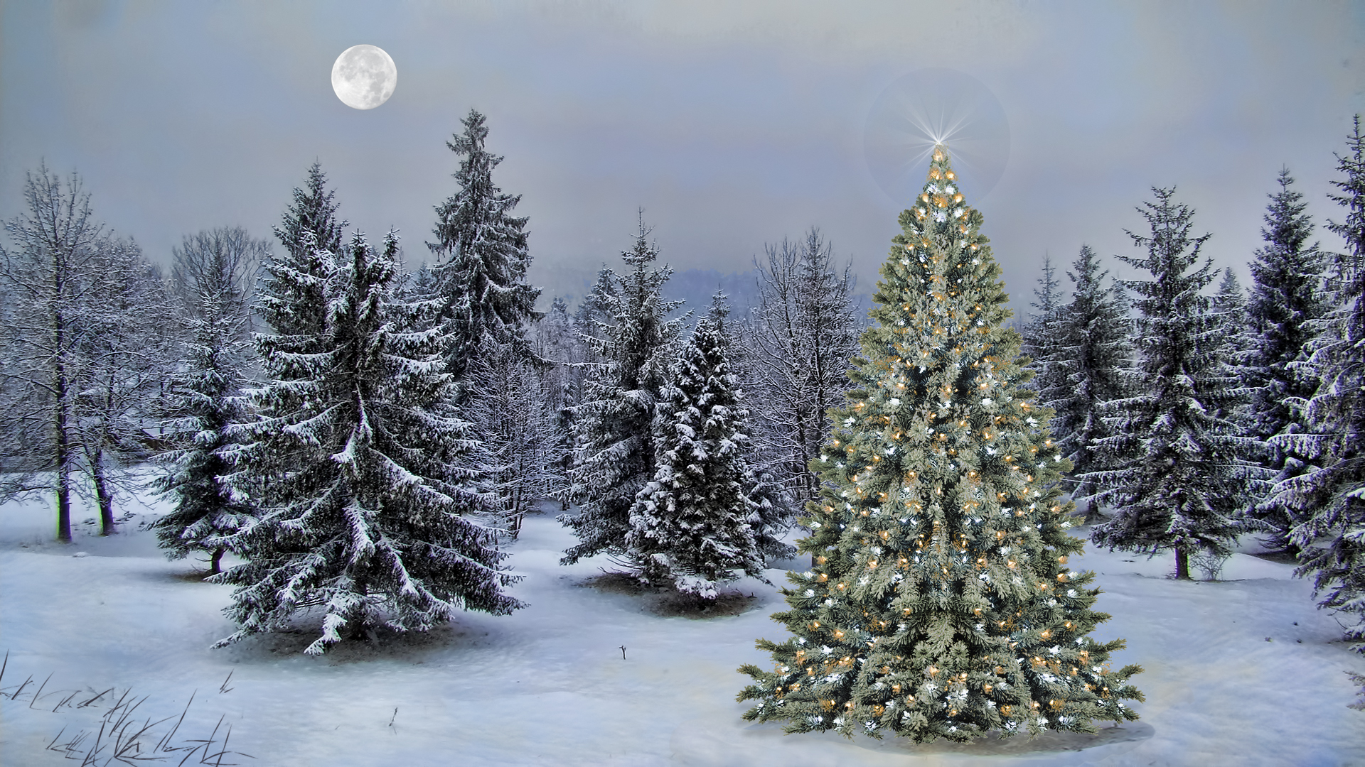 776839 скачать обои рождественская елка, праздничные, рождество, лес, луна, снег, звёзды - заставки и картинки бесплатно
