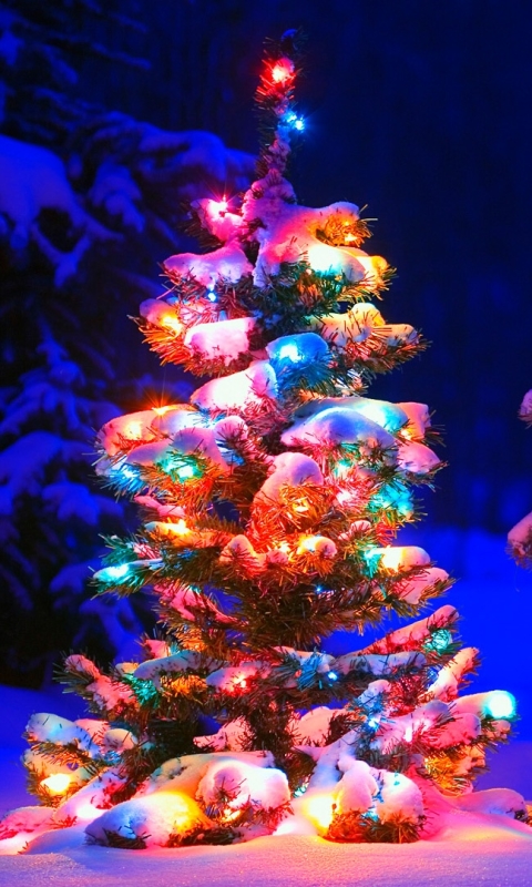 Download mobile wallpaper Winter, Night, Snow, Tree, Christmas, Holiday, Christmas Tree for free.