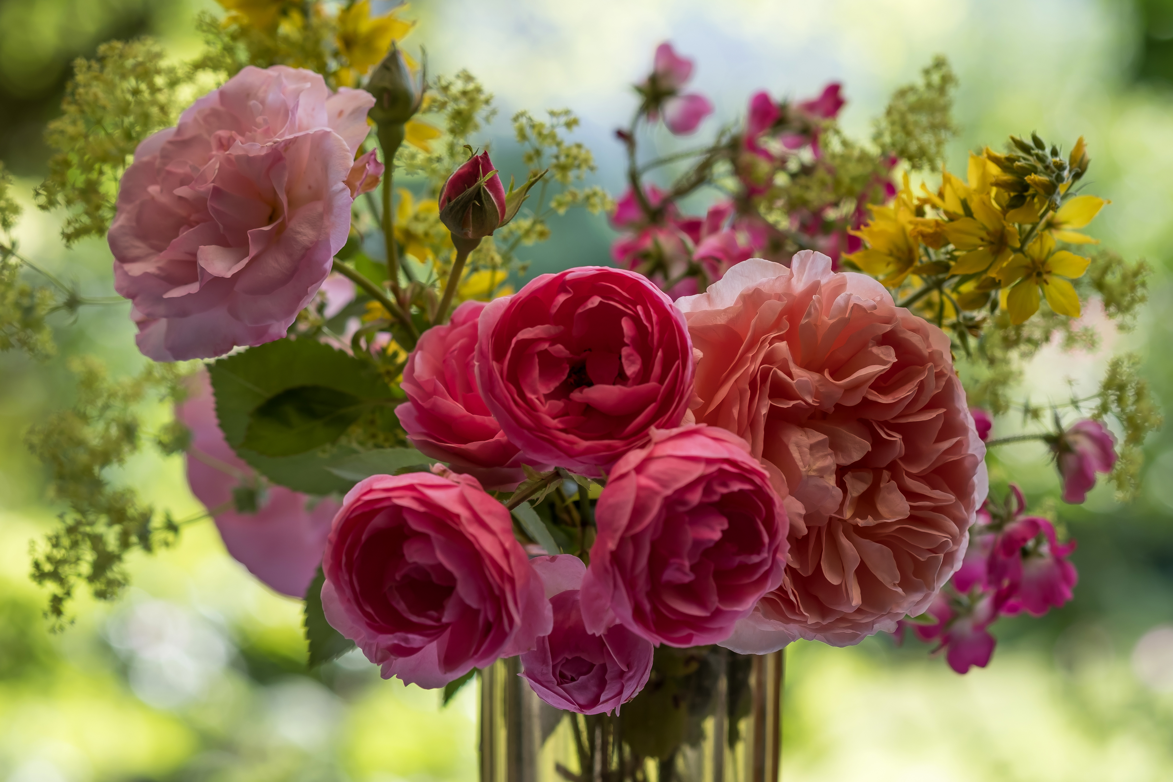 PCデスクトップにフラワーズ, 花, 薔薇, 地球, 花瓶, ピンクの花画像を無料でダウンロード