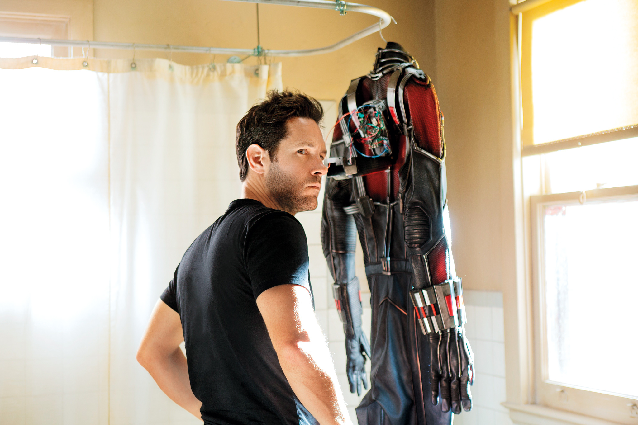 Download mobile wallpaper Movie, Ant Man, Paul Rudd for free.