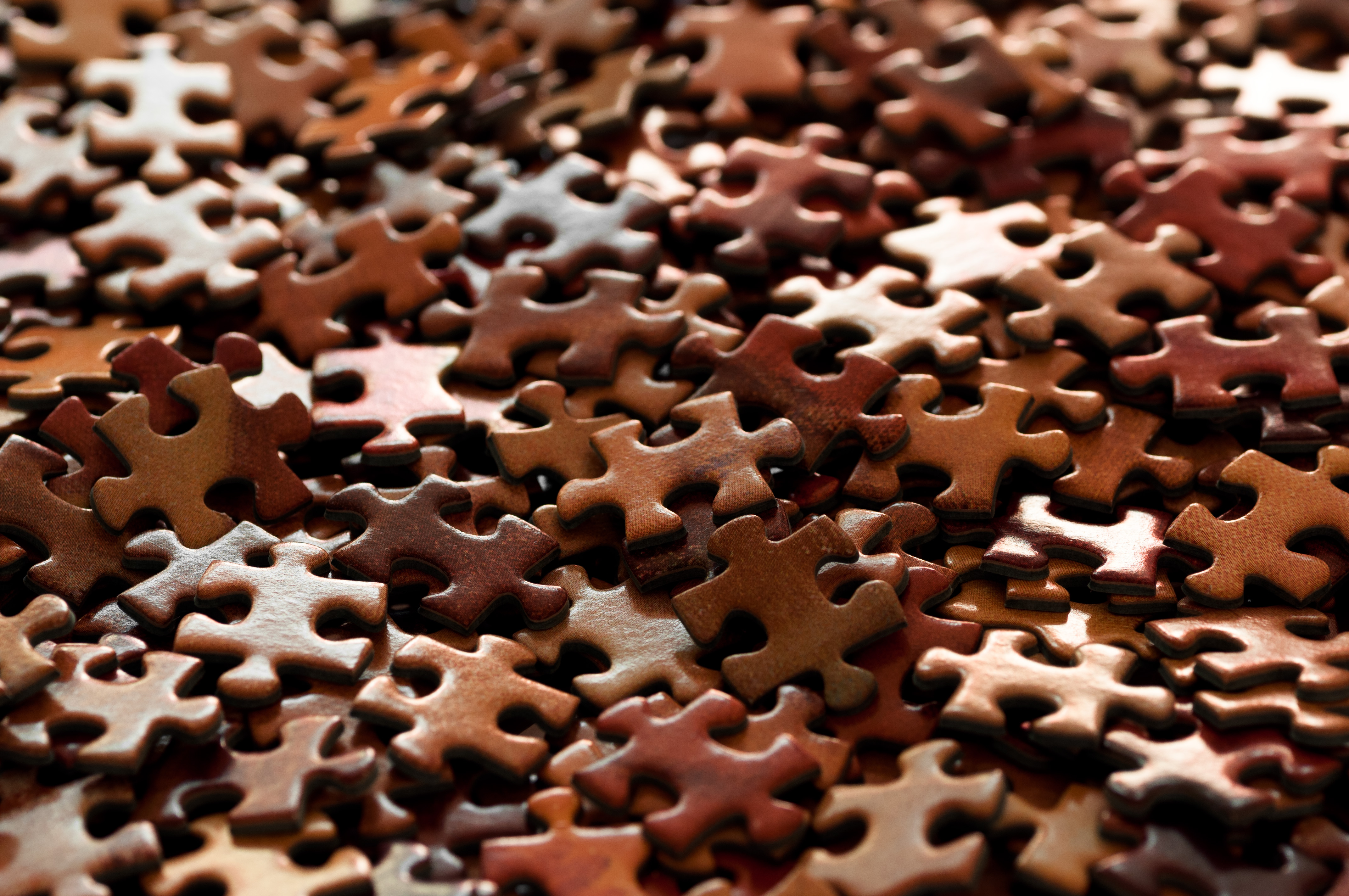 macro, miscellanea, miscellaneous, brown, jigsaw puzzles, puzzles, fragment