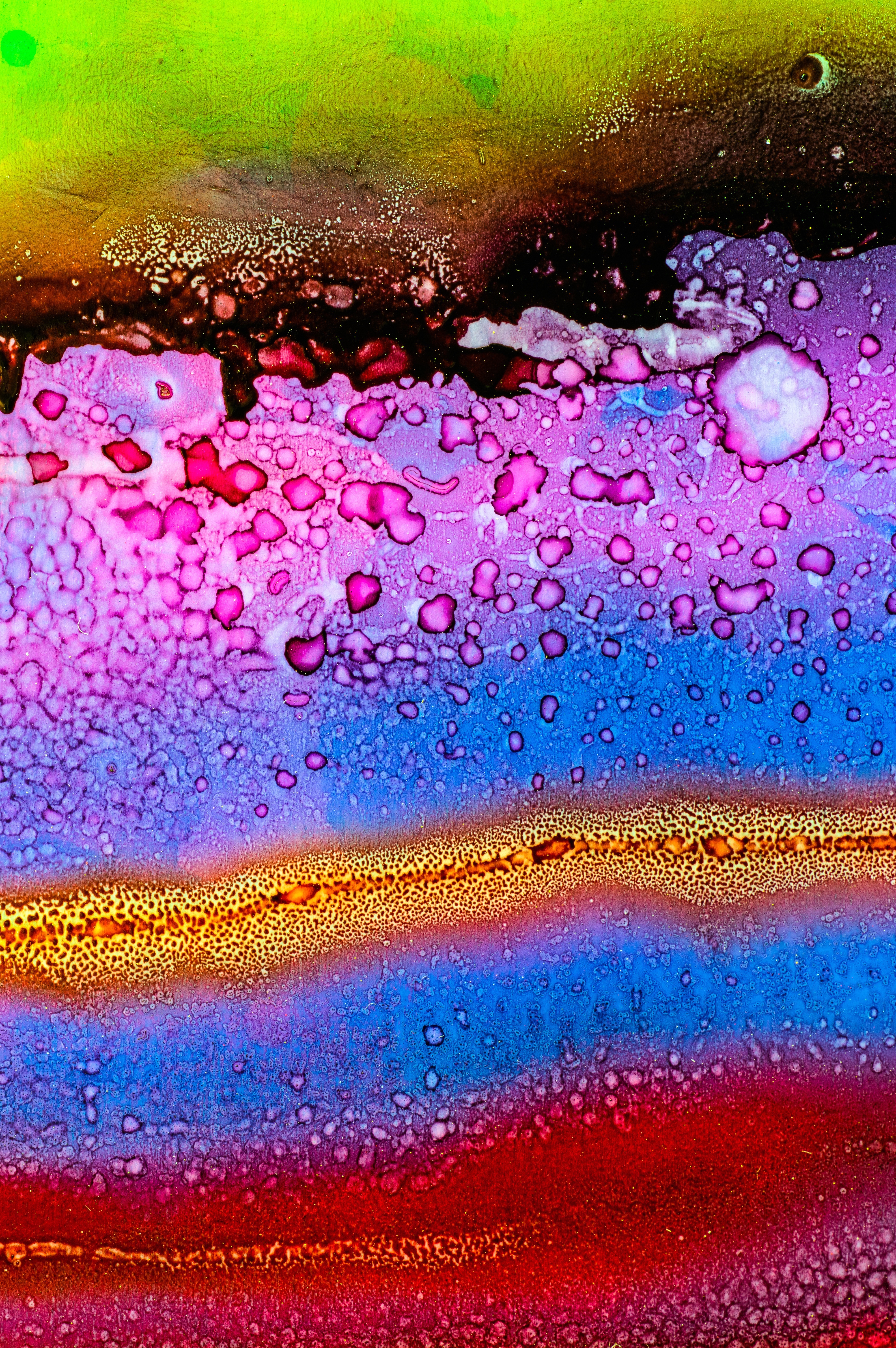 motley, abstract, multicolored, structure, close up, stains, spots, microscopic