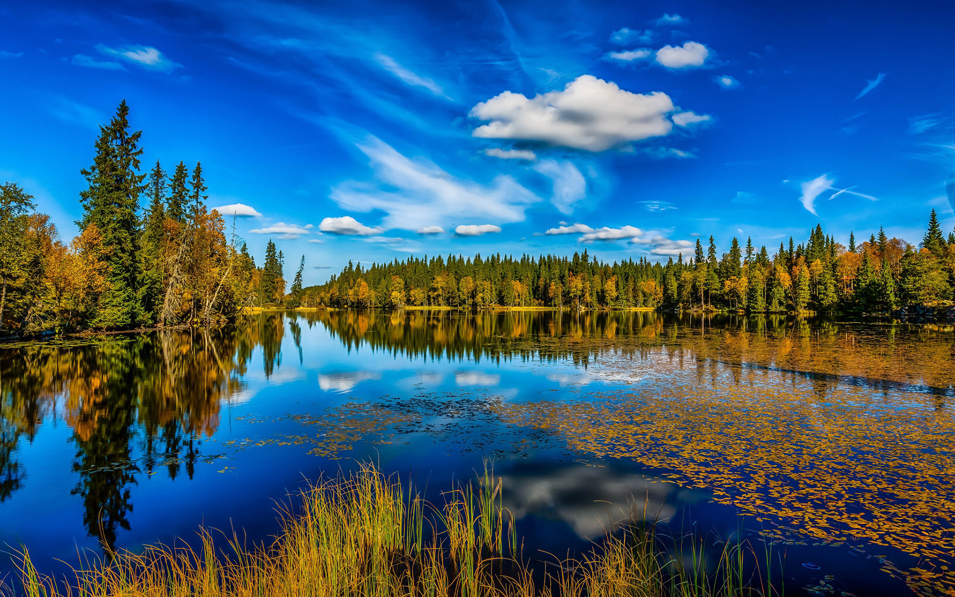 Free download wallpaper Sky, Lake, Forest, Fall, Earth, Cloud on your PC desktop