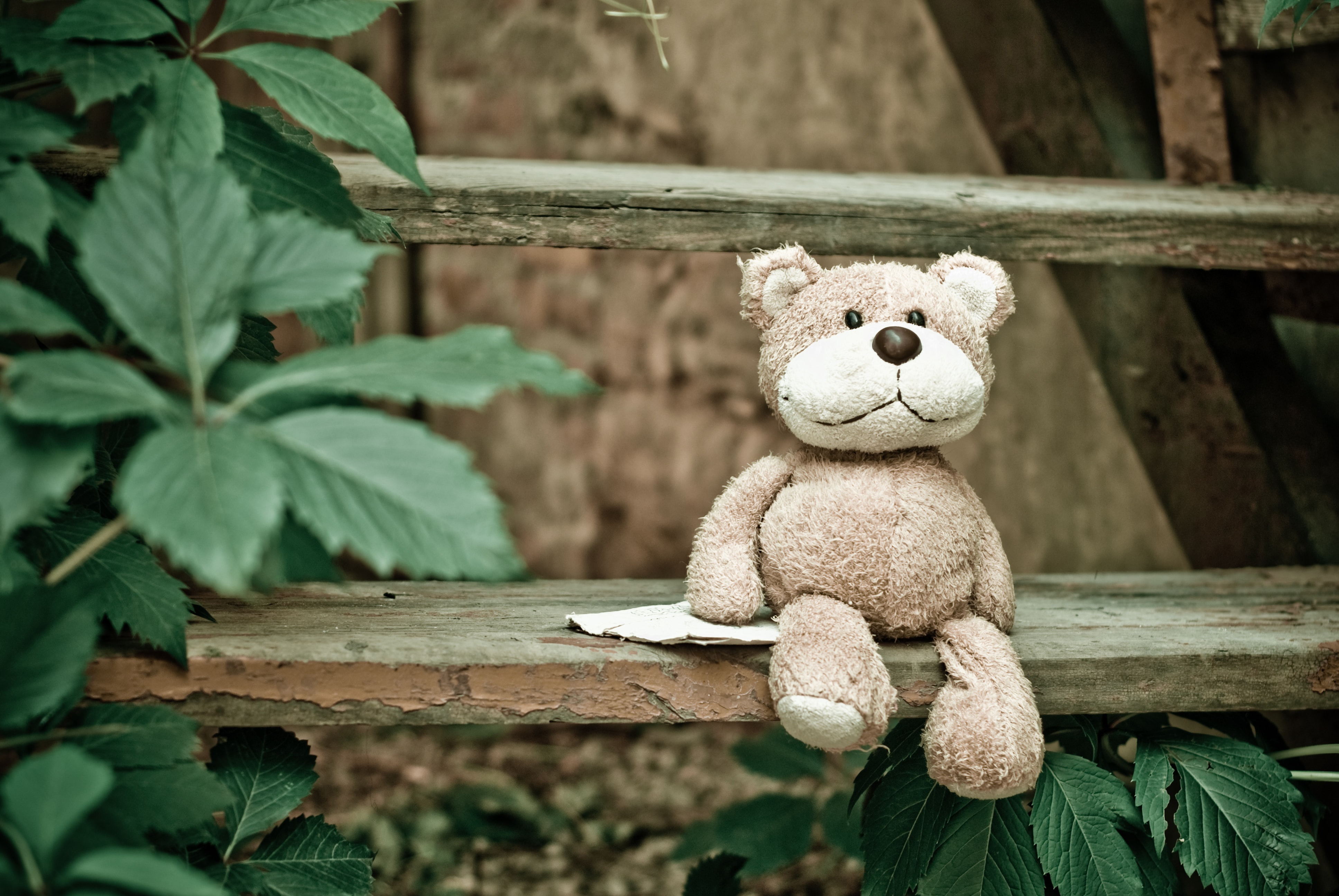 Handy-Wallpaper Teddybär, Menschengemacht, Kuscheltier kostenlos herunterladen.
