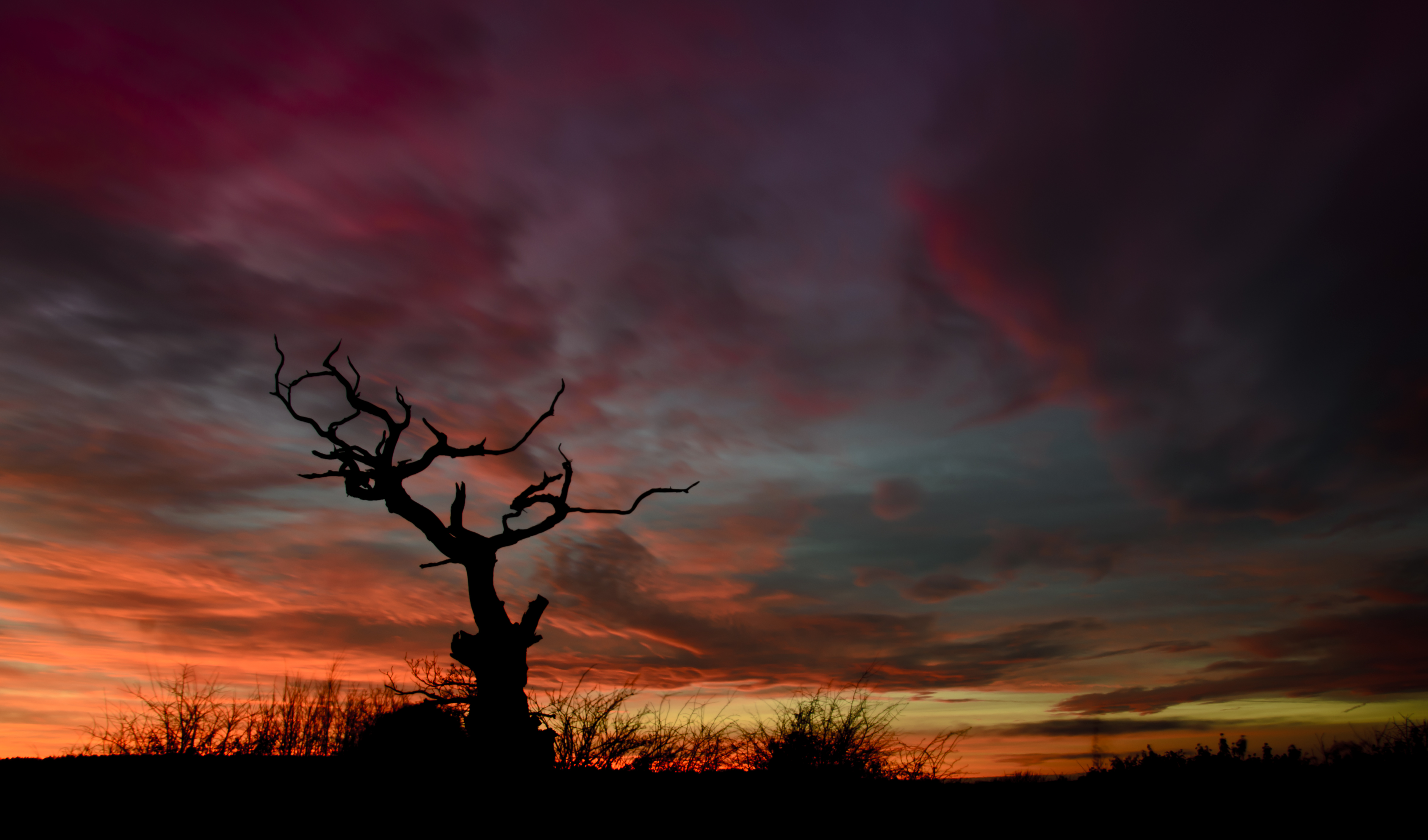 Handy-Wallpaper Baum, Sunset, Übernachtung, Natur, Sky, Holz, Silhouette kostenlos herunterladen.