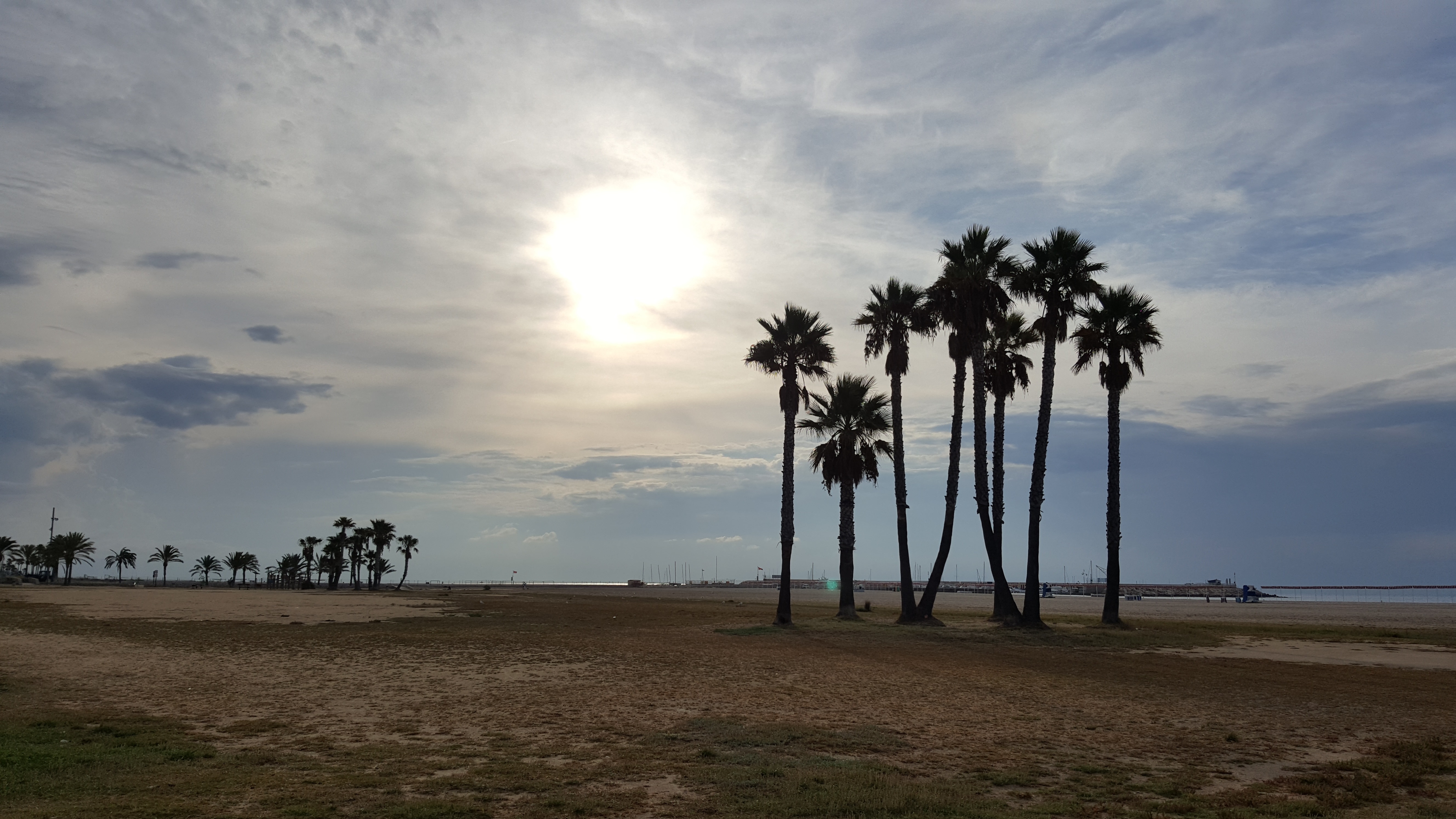 Laden Sie das Natur, Koma Ruga, Coma Teppich, Spanien, Palms, Strand-Bild kostenlos auf Ihren PC-Desktop herunter