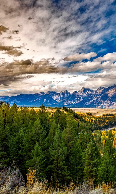 Handy-Wallpaper Landschaft, Natur, Herbst, Berg, Wald, Baum, Fluss, Gebirge, Wolke, Wyoming, Vereinigte Staaten Von Amerika, Erde/natur, Grand Teton Nationalpark kostenlos herunterladen.