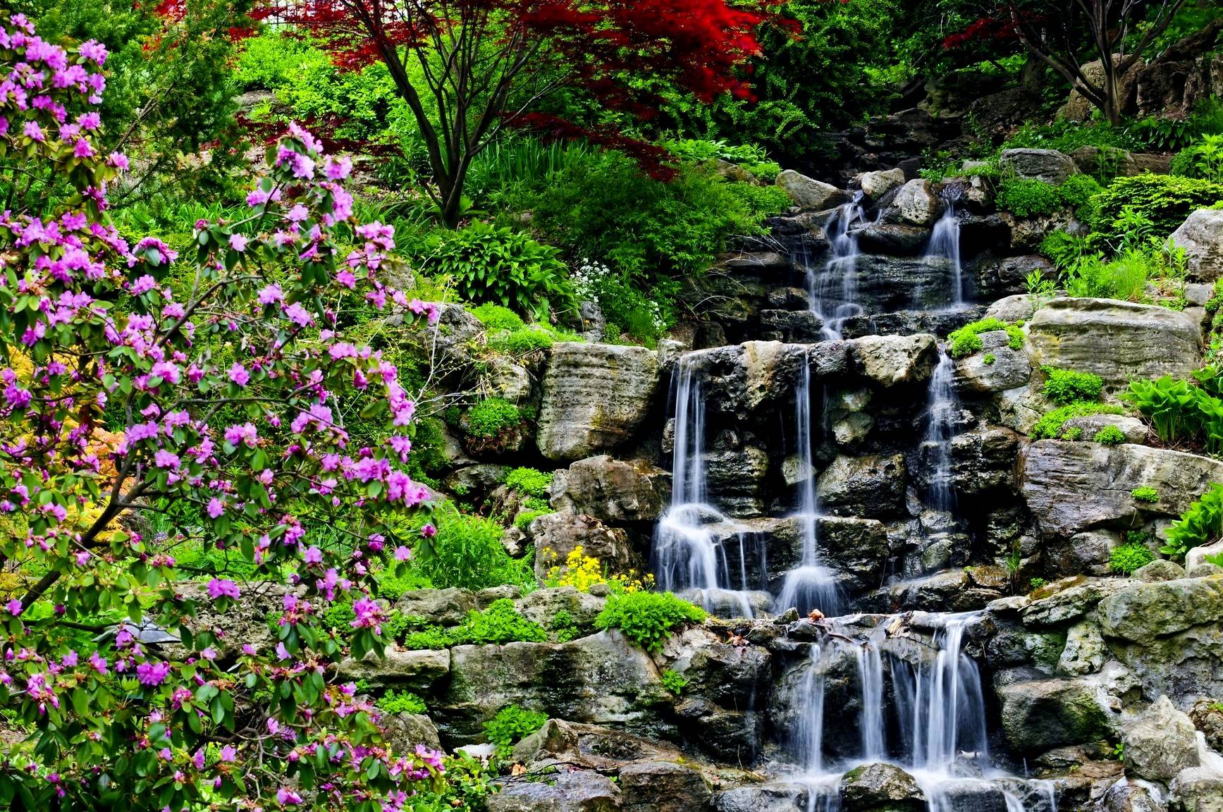 Download mobile wallpaper Nature, Water, Waterfalls, Flower, Waterfall, Vegetation, Earth, Garden for free.