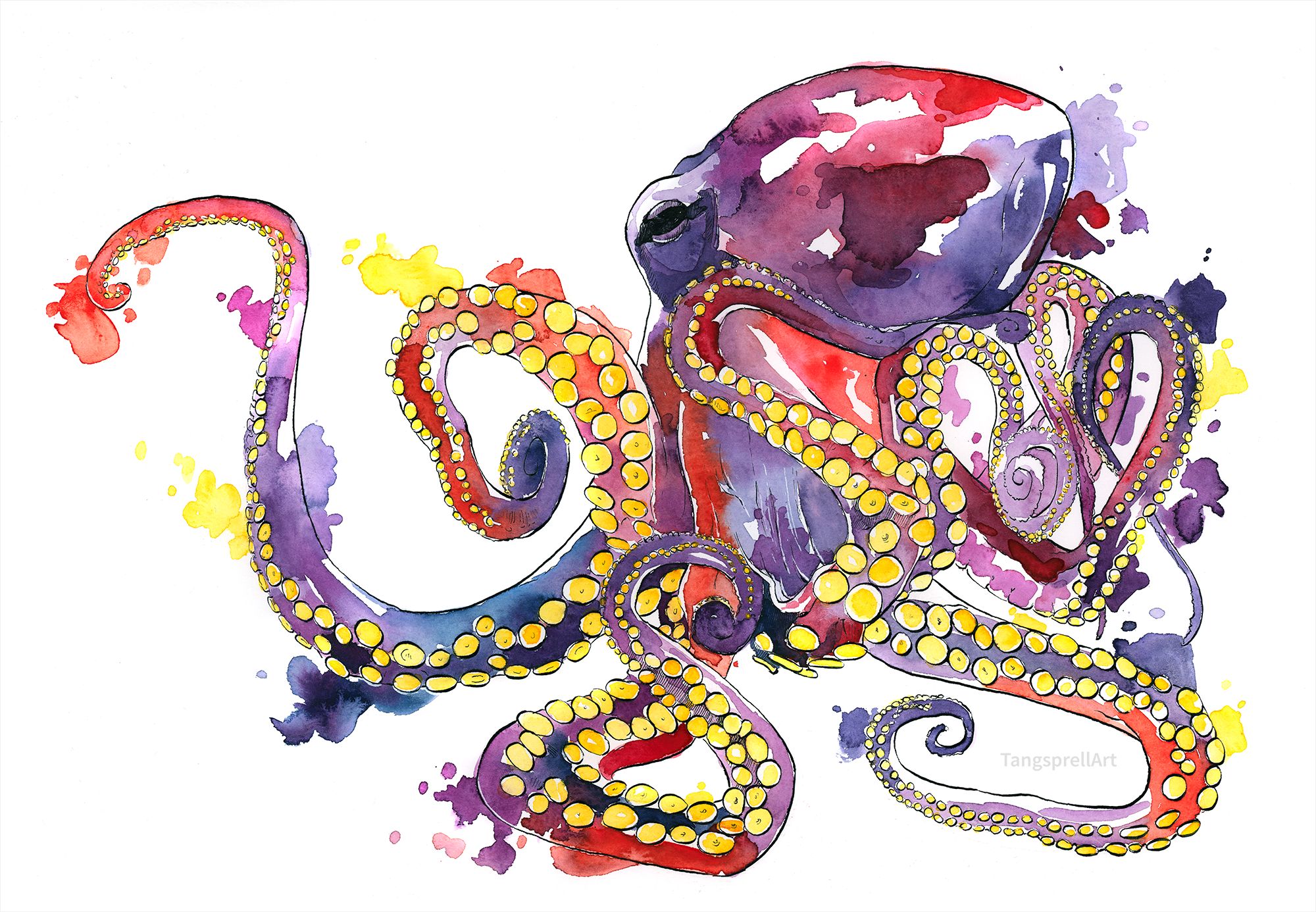 Download mobile wallpaper Octopus, Artistic, Watercolor for free.