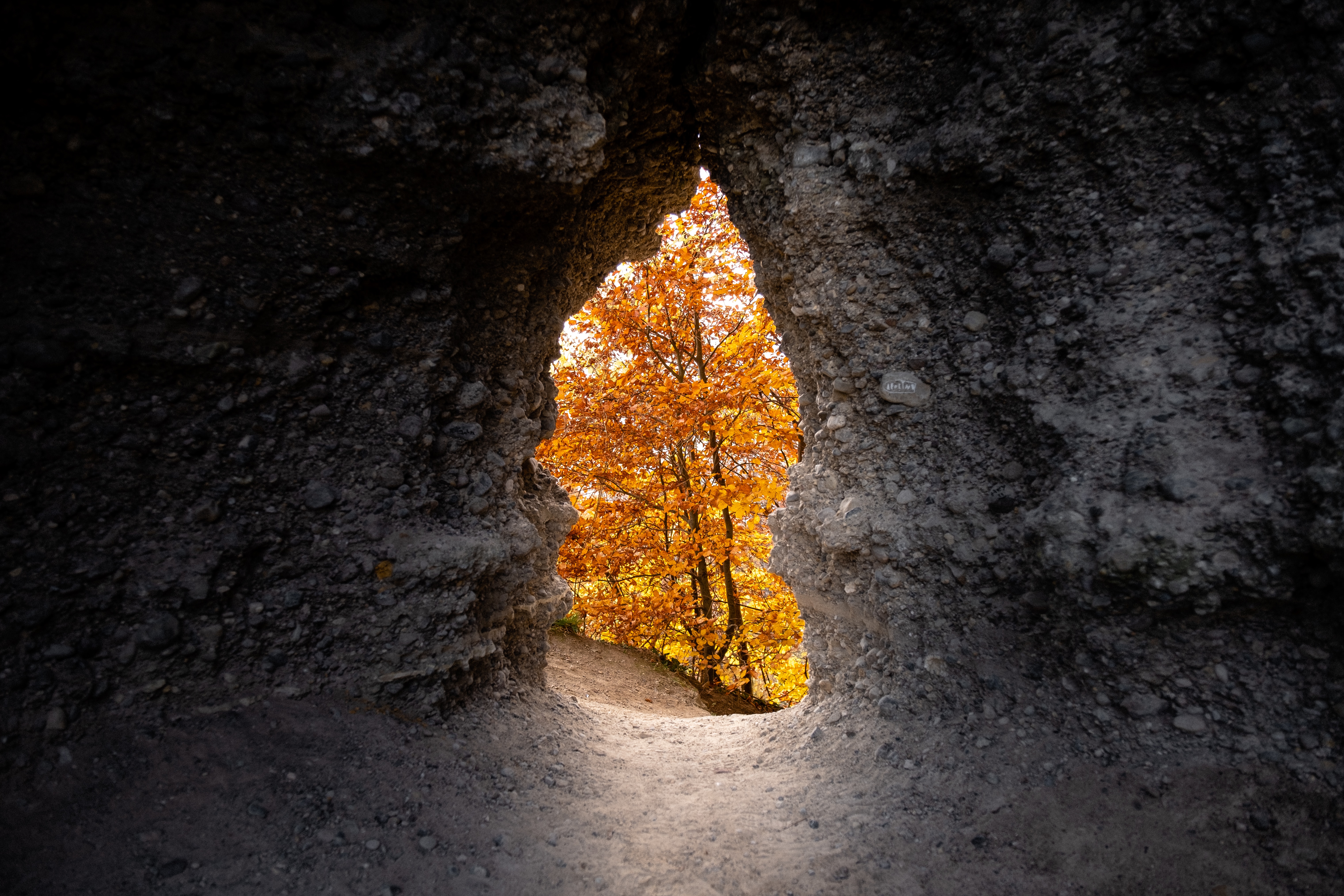 Скачать картинку Пещера, Желтый, Природа, Осень, Деревья в телефон бесплатно.