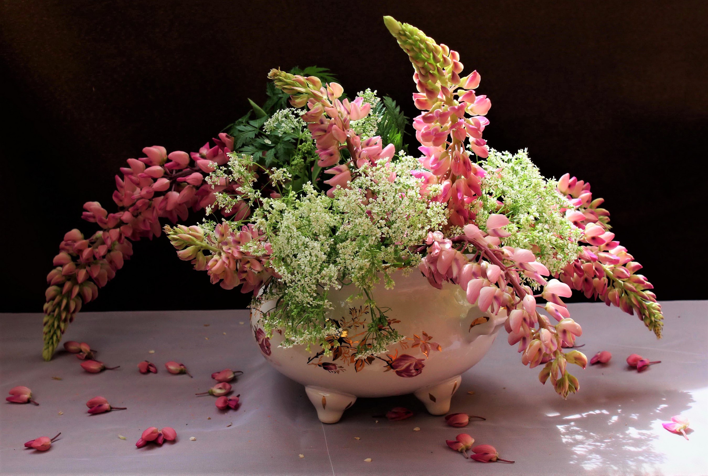 Laden Sie das Blume, Vase, Fotografie, Lupinen, Pinke Blume, Stillleben-Bild kostenlos auf Ihren PC-Desktop herunter