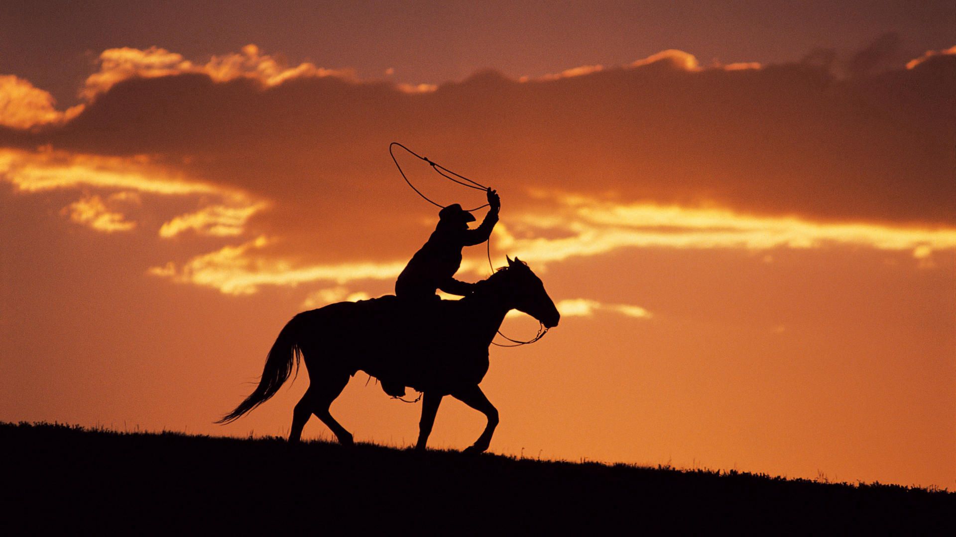 sunset, dark, silhouette, evening, horse, rider, horseman