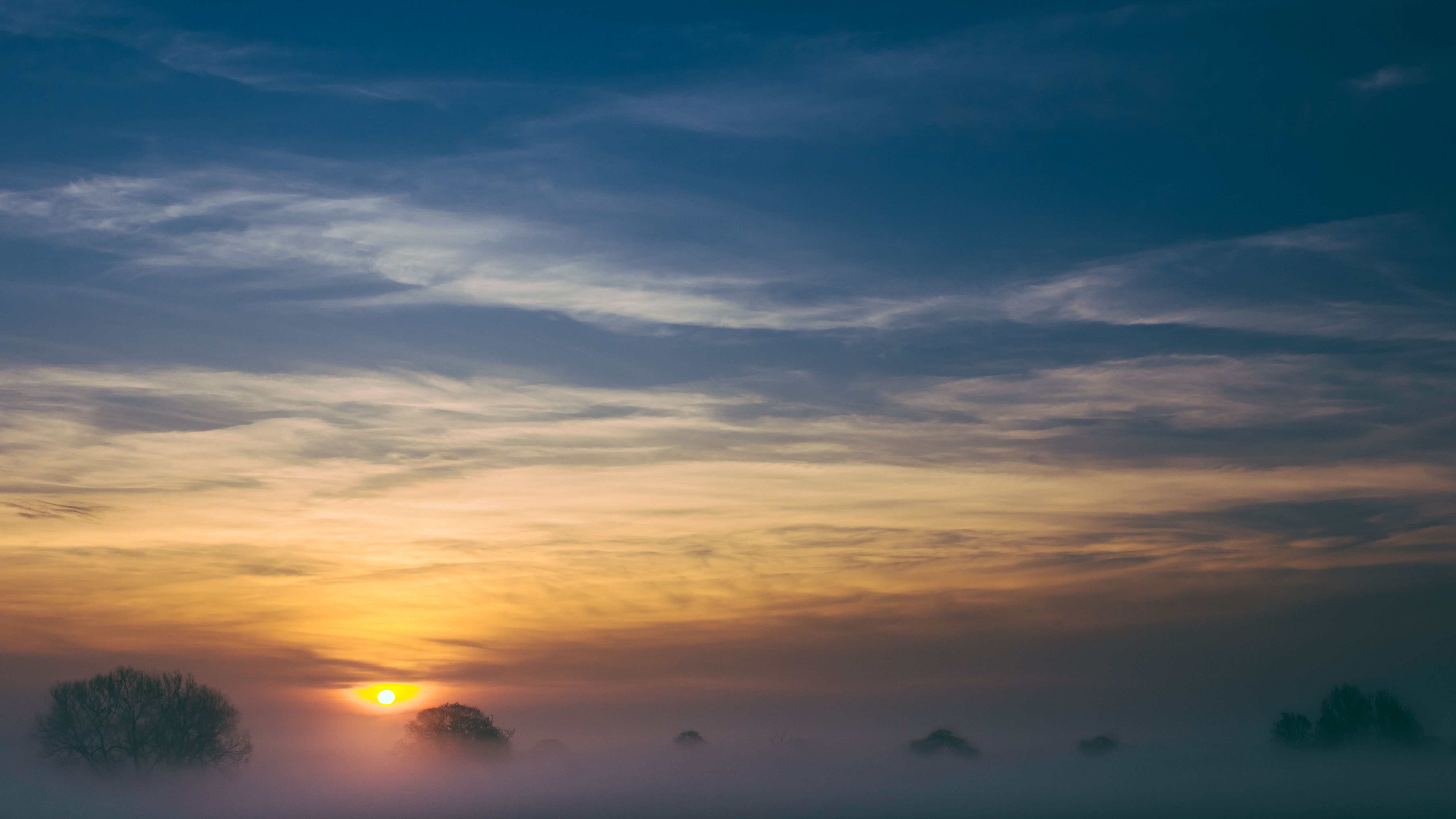 Free download wallpaper Sky, Nature, Trees, Dawn, Fog on your PC desktop