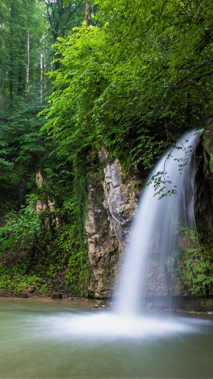 Download mobile wallpaper Waterfalls, Waterfall, Forest, Earth, Greenery for free.