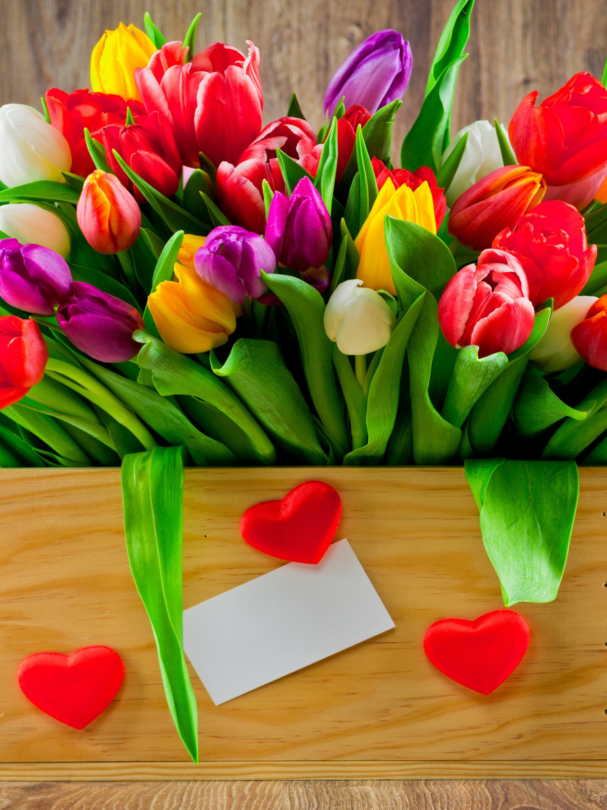 Download mobile wallpaper Flower, Heart, Tulip, Yellow Flower, White Flower, Purple Flower, Red Flower, Man Made for free.