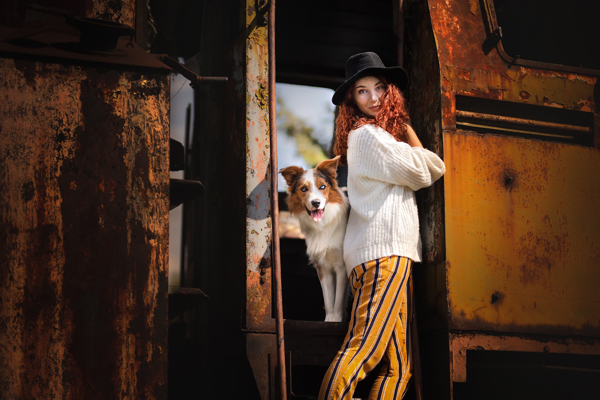 Download mobile wallpaper Dog, Hat, Model, Women, Border Collie for free.