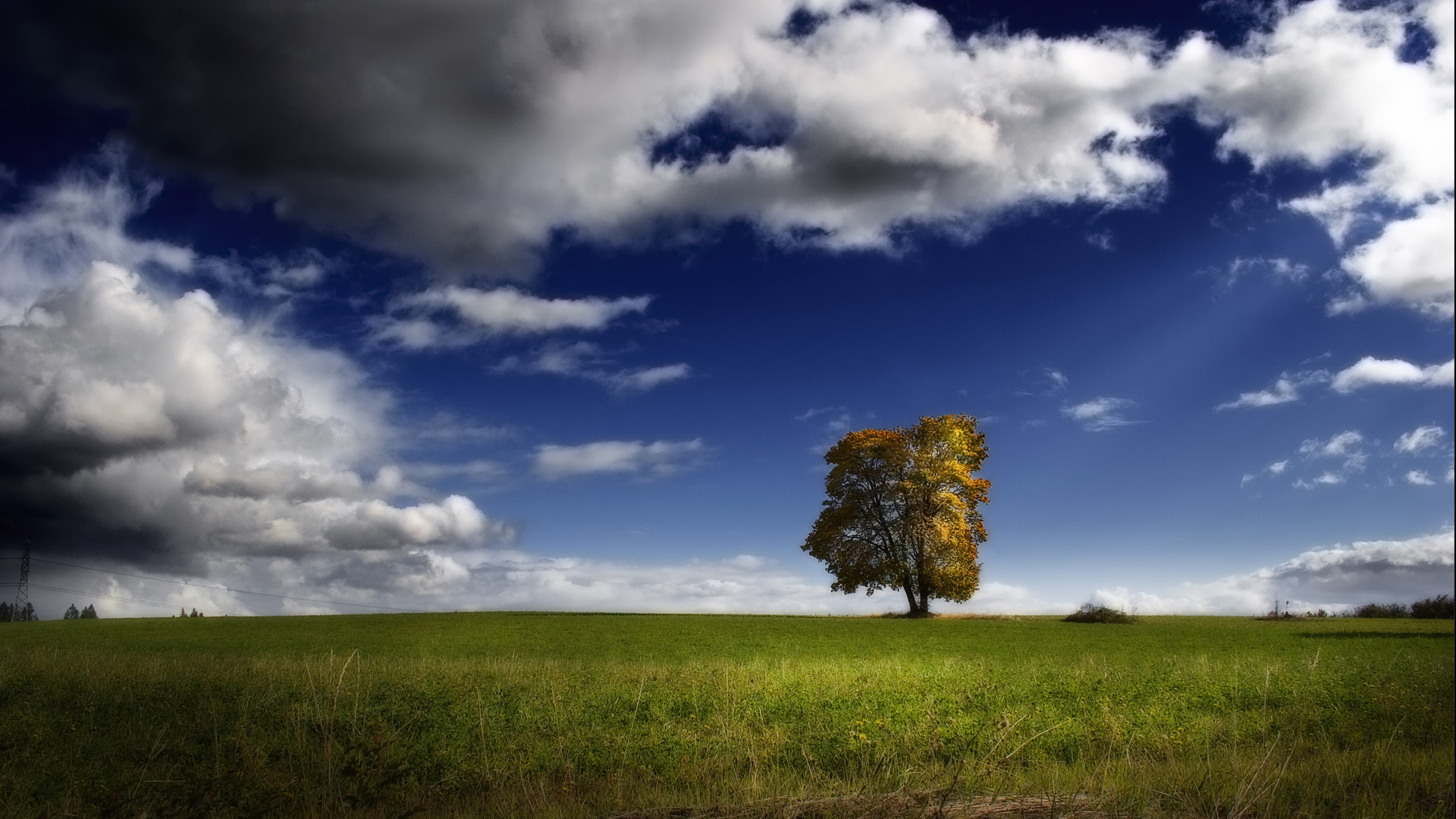 Téléchargez gratuitement l'image Arbre, Terre/nature sur le bureau de votre PC