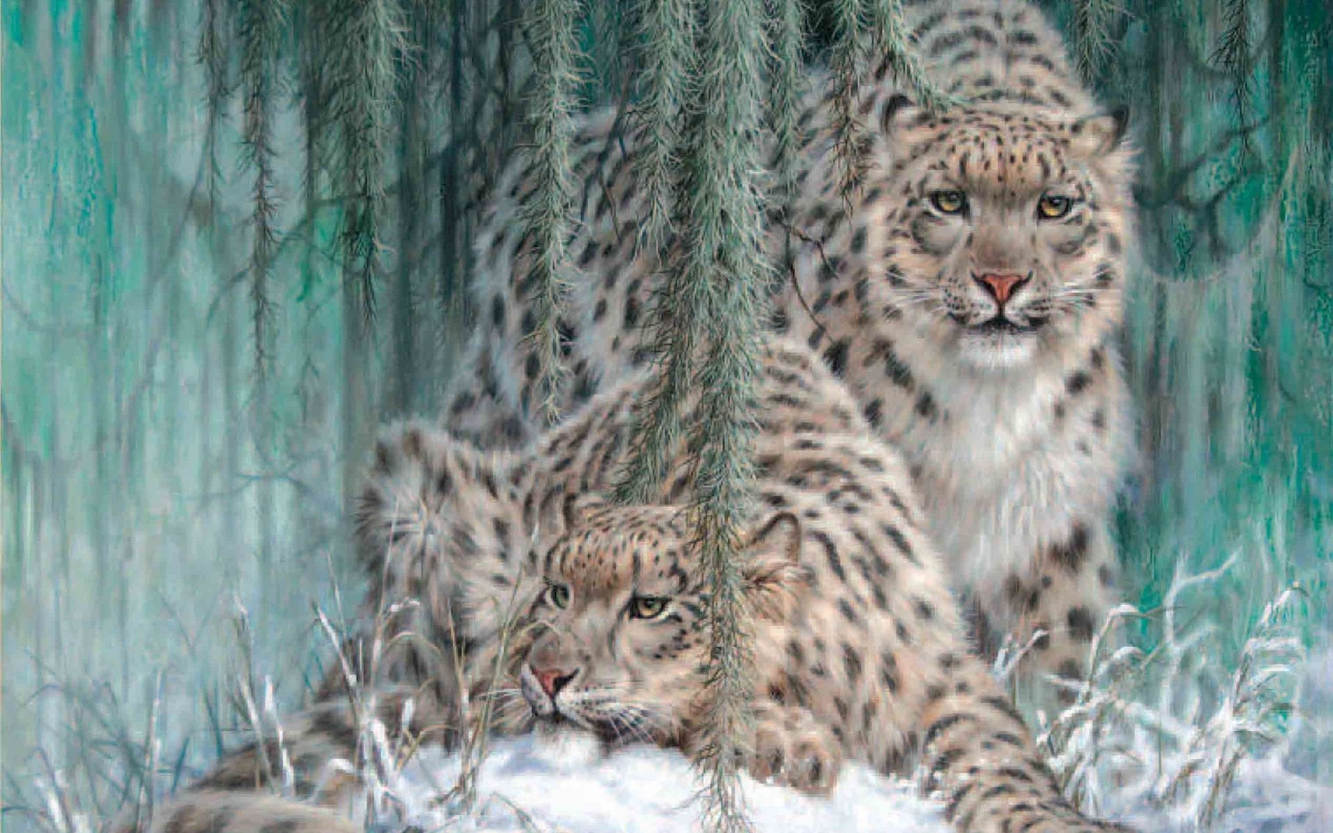 1473961 descargar fondo de pantalla animales, leopardo de las nieves: protectores de pantalla e imágenes gratis