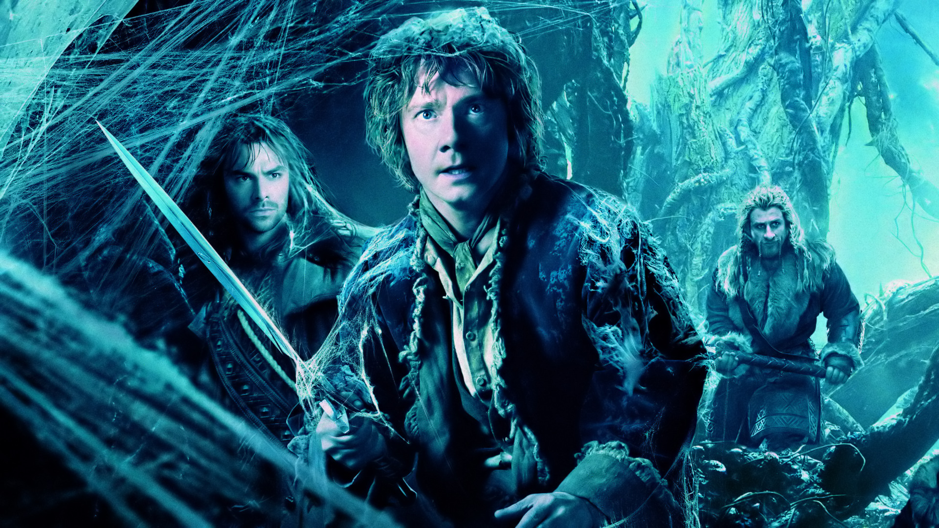 Baixar papel de parede para celular de O Senhor Dos Anéis, Filme, O Hobbit: A Desolação De Smaug gratuito.