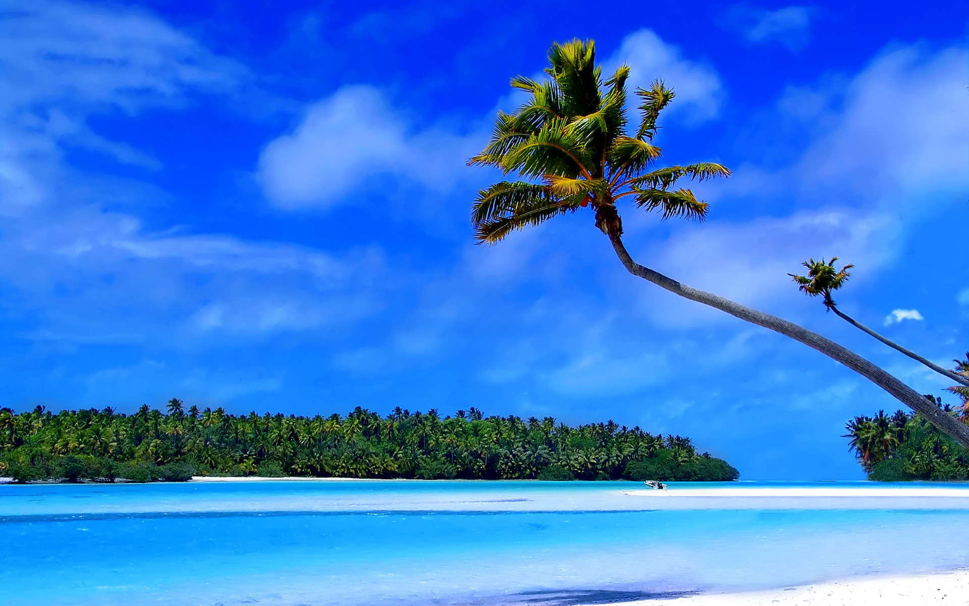 Descarga gratis la imagen Naturaleza, Bosque, Árbol, Océano, Zona Tropical, Isla, Tierra/naturaleza, Palmera, Tropico en el escritorio de tu PC
