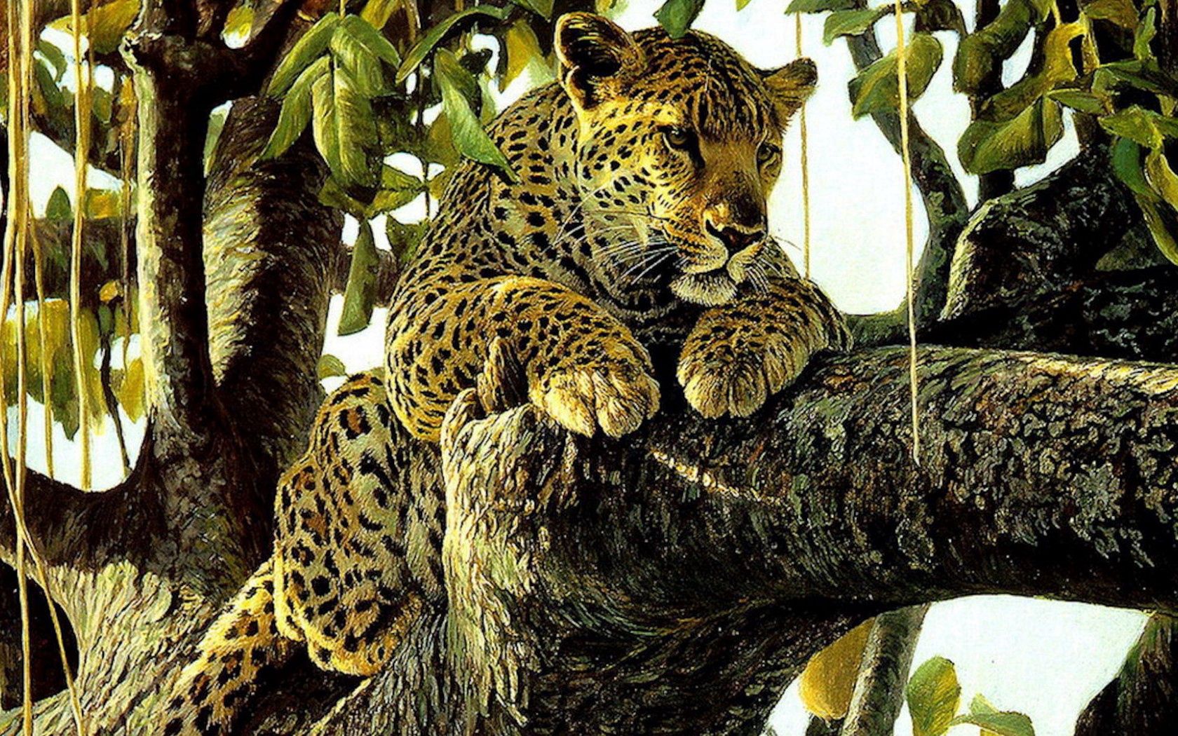 leopard, drawing, animals, art, picture, predator download HD wallpaper