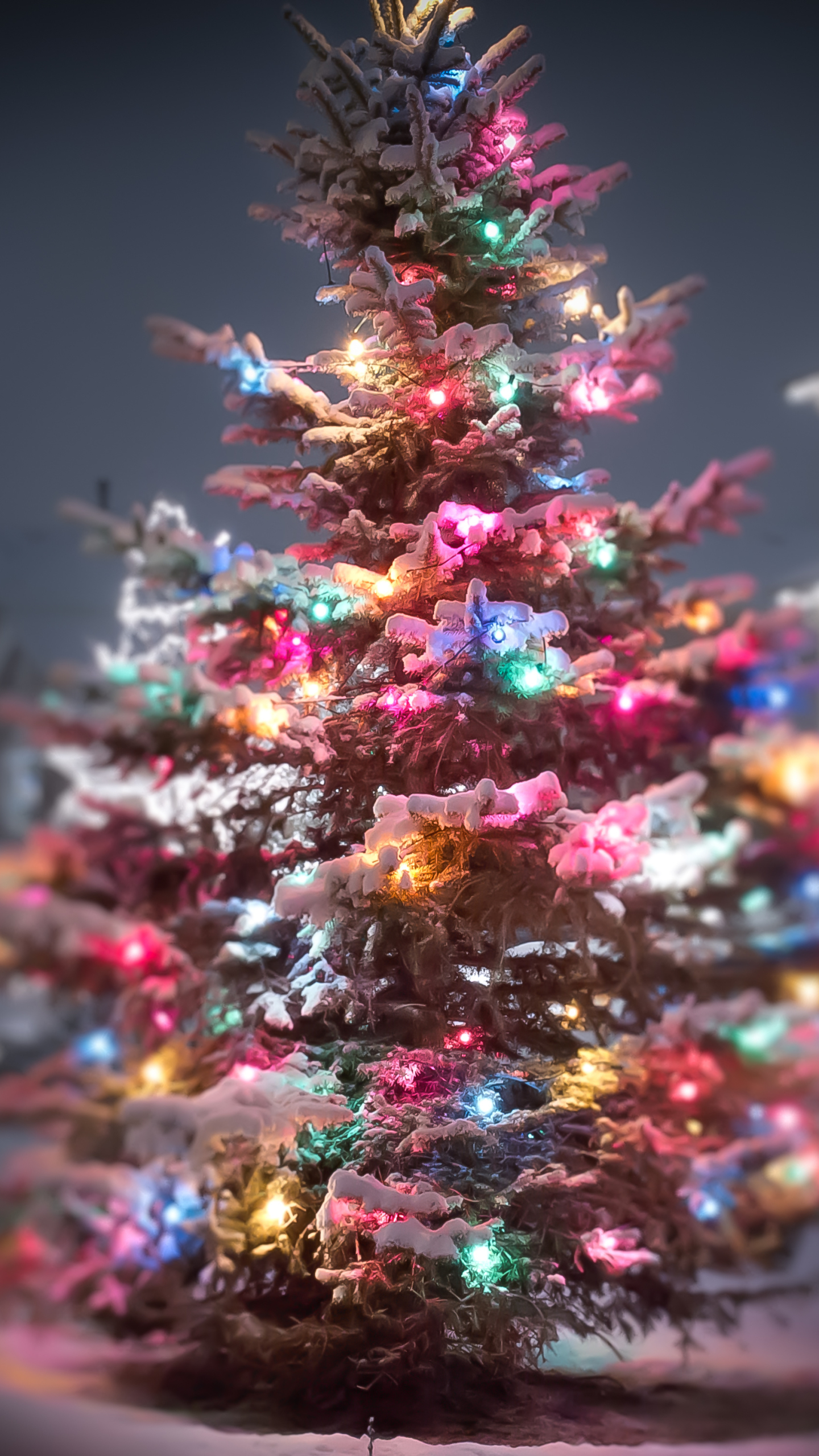 Baixar papel de parede para celular de Natal, Árvore De Natal, Borrão, Feriados, Luzes De Natal gratuito.
