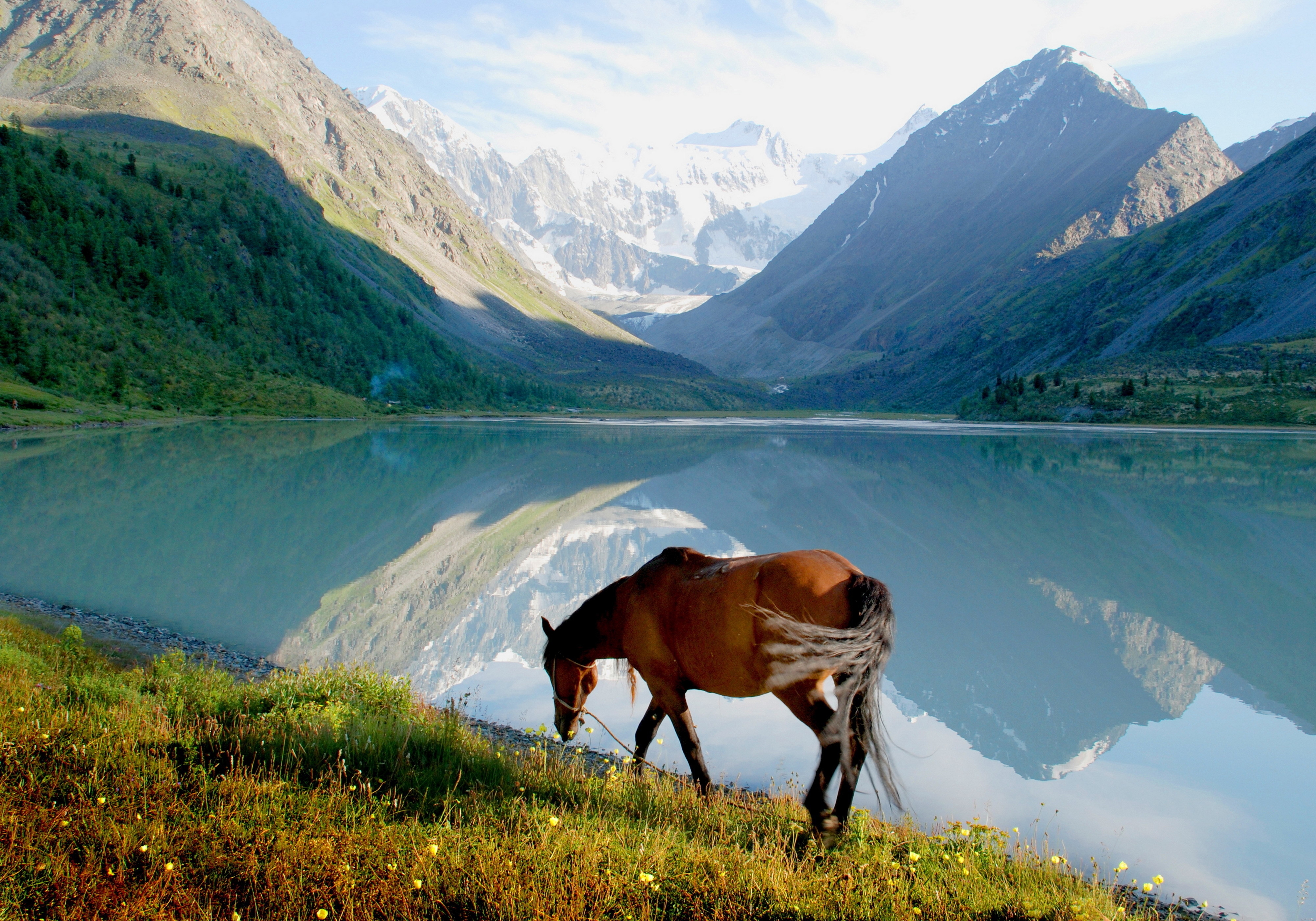 Download mobile wallpaper Grass, Lake, Stroll, Animals, Mountains, Horse for free.