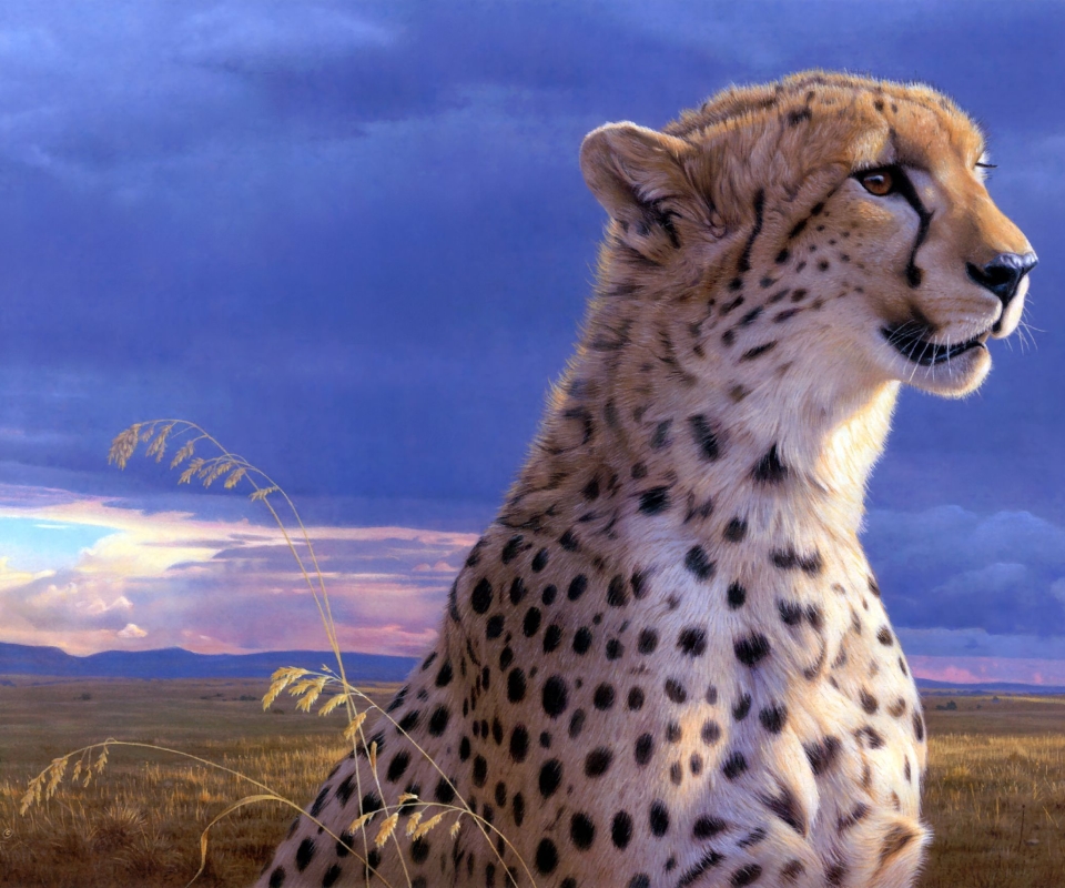 Download mobile wallpaper Cats, Cheetah, Animal for free.