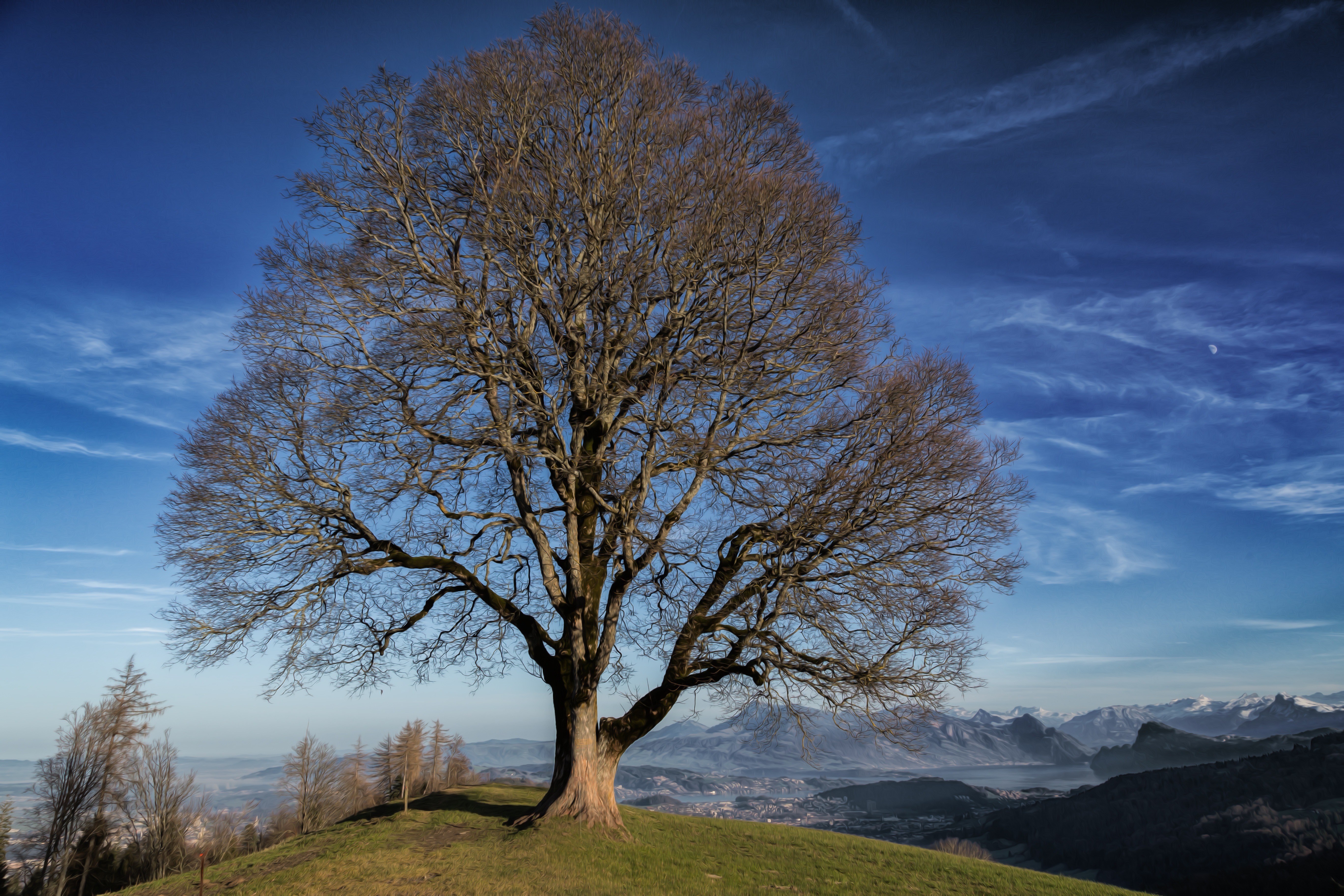 Free download wallpaper Landscape, Nature, Trees, Sky, Mountain, Tree, Earth, Lonely Tree on your PC desktop