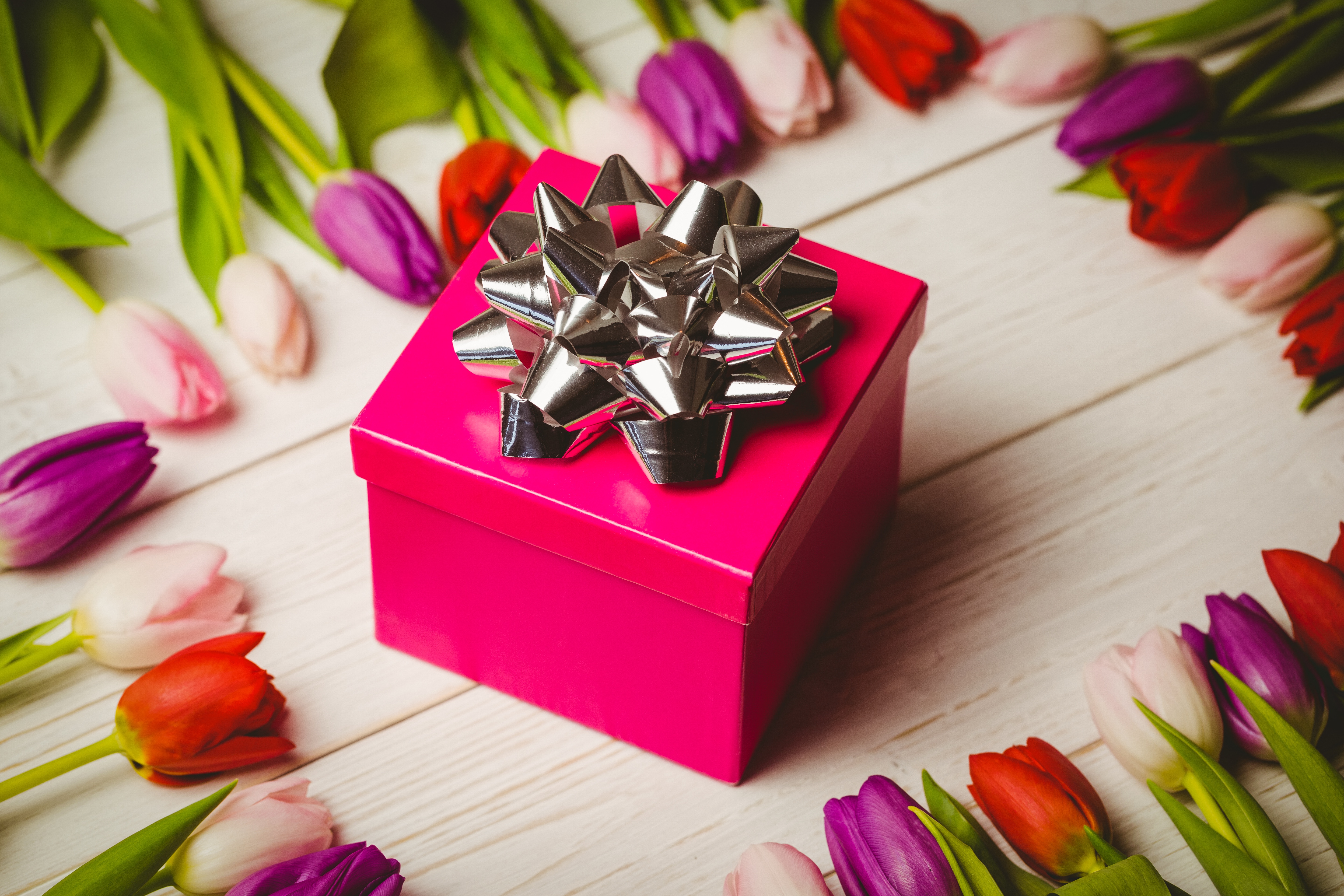 Laden Sie das Blume, Verschiedenes, Geschenk, Tulpe, Lila Blume, Rote Blume, Pinke Blume, Stillleben-Bild kostenlos auf Ihren PC-Desktop herunter