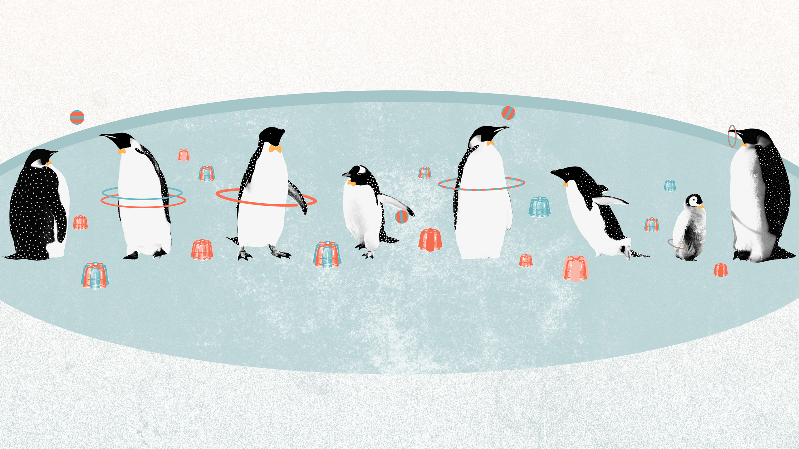 Download mobile wallpaper Cartoon, Penguin, Funny, Humor, Bird, Birds, Animal for free.