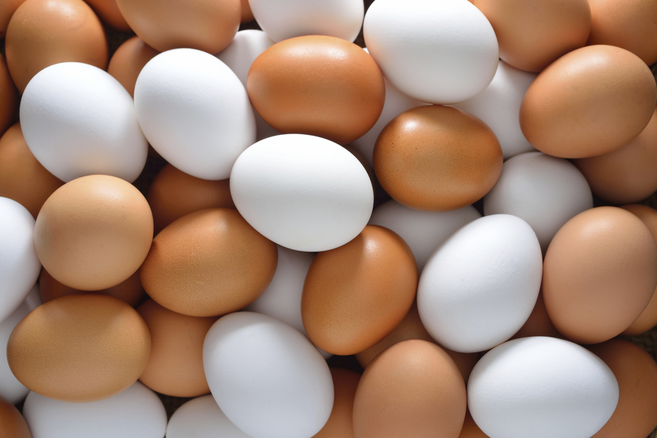 Descarga gratis la imagen Huevo, Alimento en el escritorio de tu PC