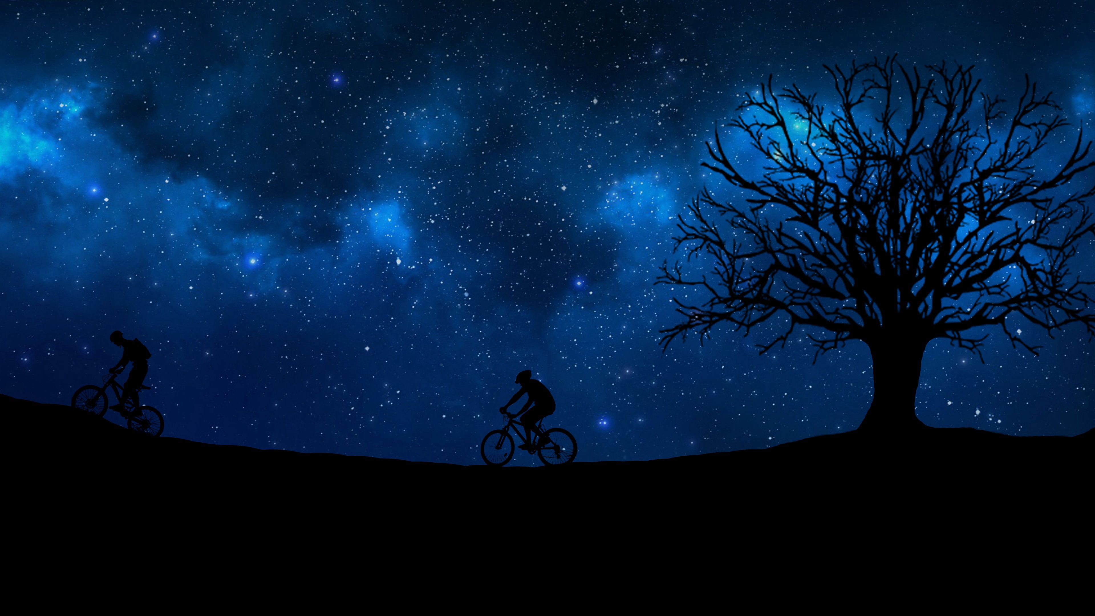 cyclist, silhouette, starry sky, vector
