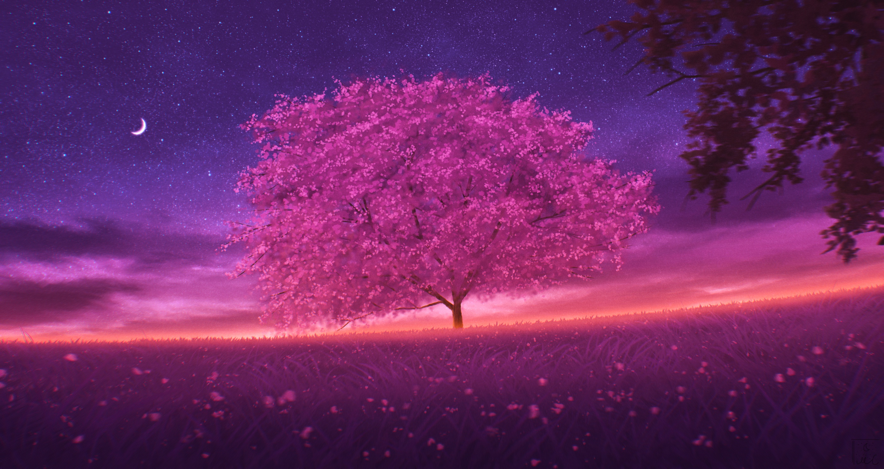 Free download wallpaper Nature, Night, Tree, Artistic on your PC desktop