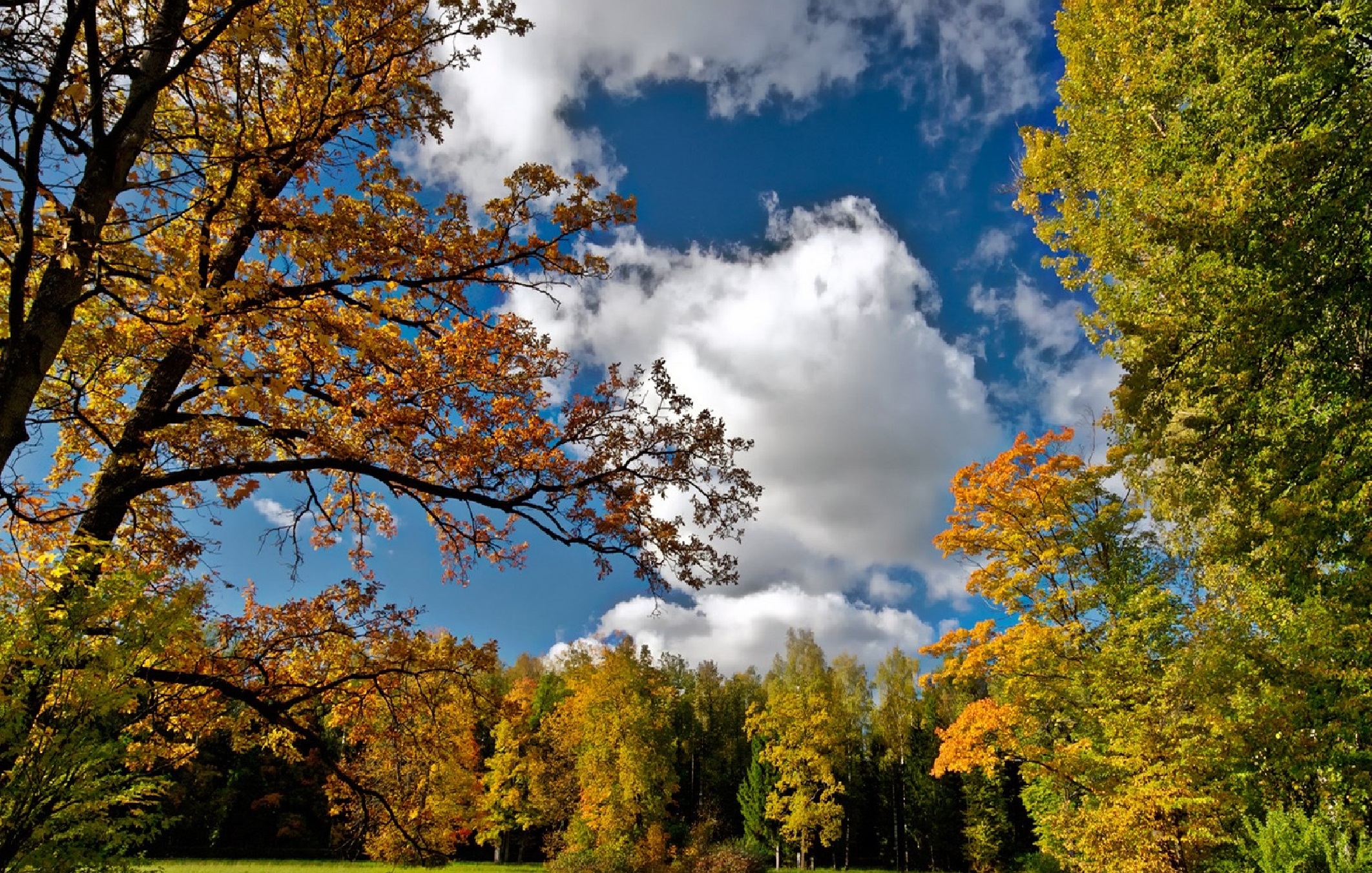 Handy-Wallpaper Natur, Bäume, Sky, Landschaft, Herbst kostenlos herunterladen.